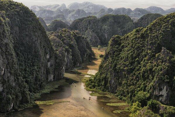 Montagnes dans la forêt près de la rivière