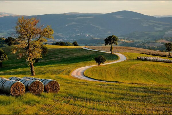 Italian field in the evening by the road