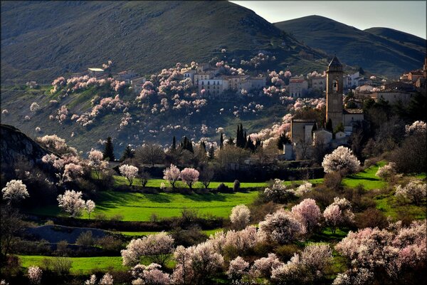 Spring Valley with mountain view