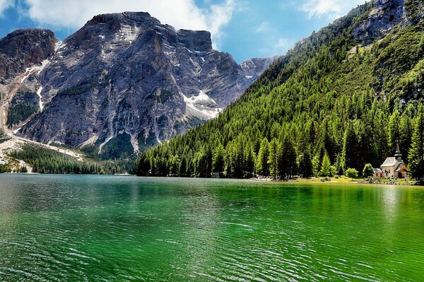 Wald am Teich neben den Berggipfeln