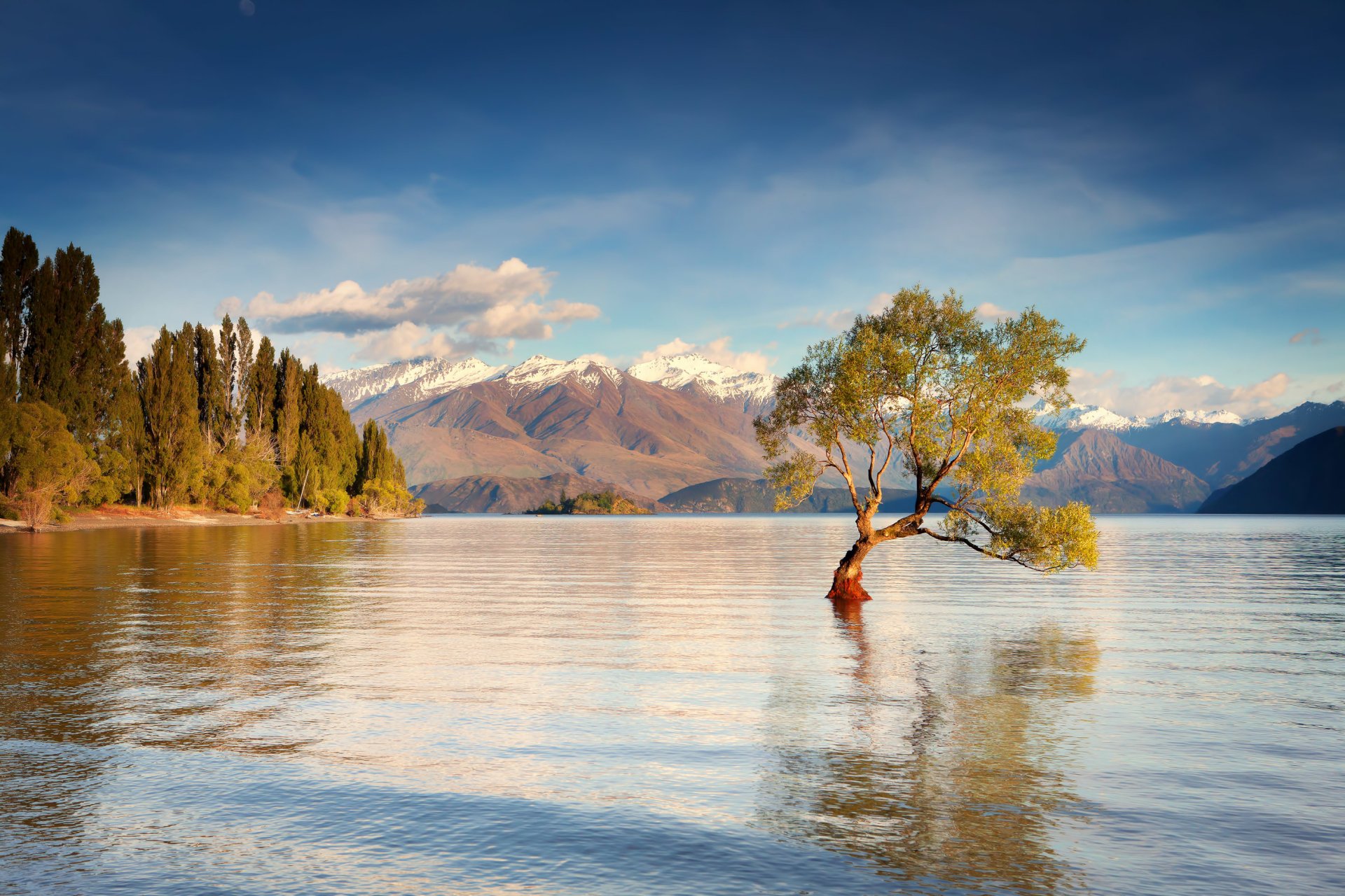 neuseeland südinsel huanaka-see berge morgen wasser baum