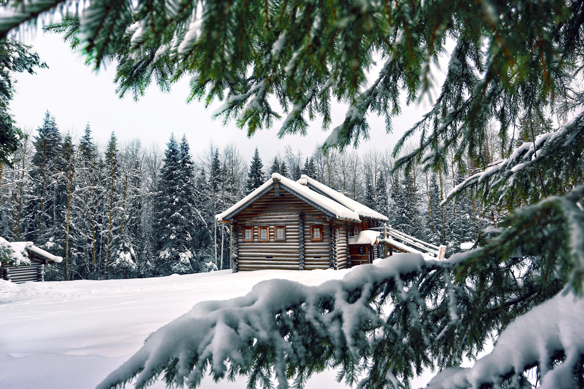 invierno nieve casa árboles abetos agujas de pino ramas patas