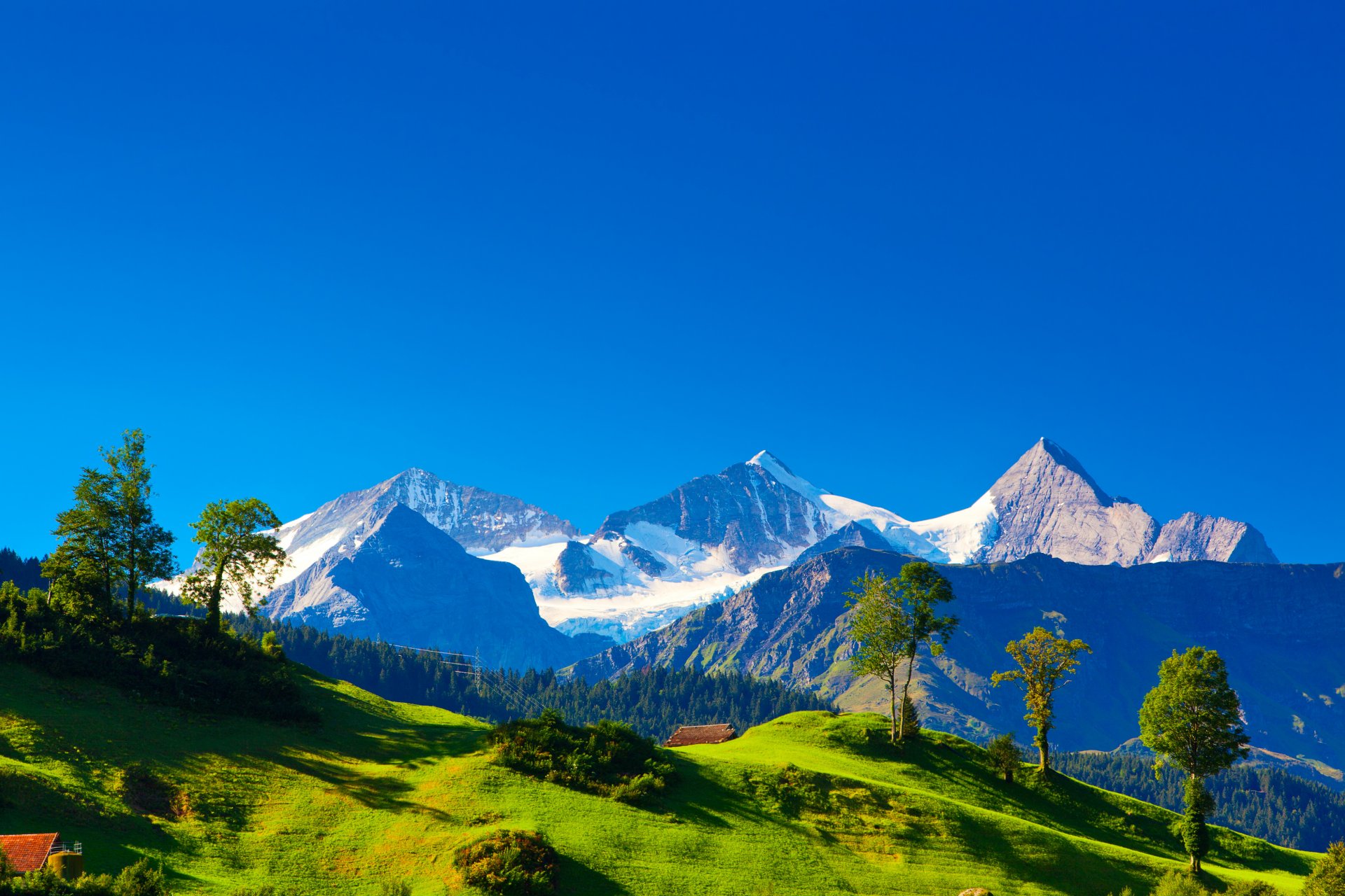 alps alpen switzerland mountains hills greenery grass trees houses nature landscape