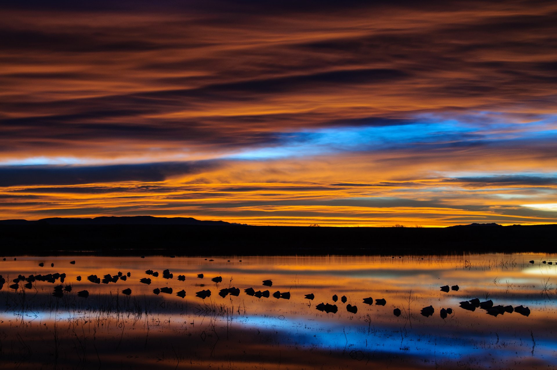 estados unidos nuevo méxico reserva lago reflexión aves mañana amanecer cielo nubes