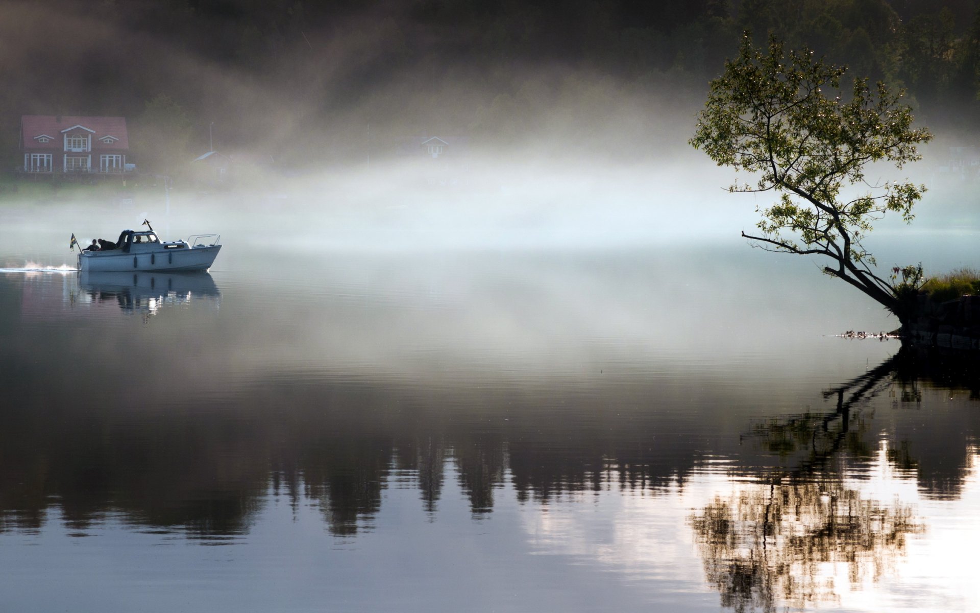 mattina lago barca albero nebbia paesaggio