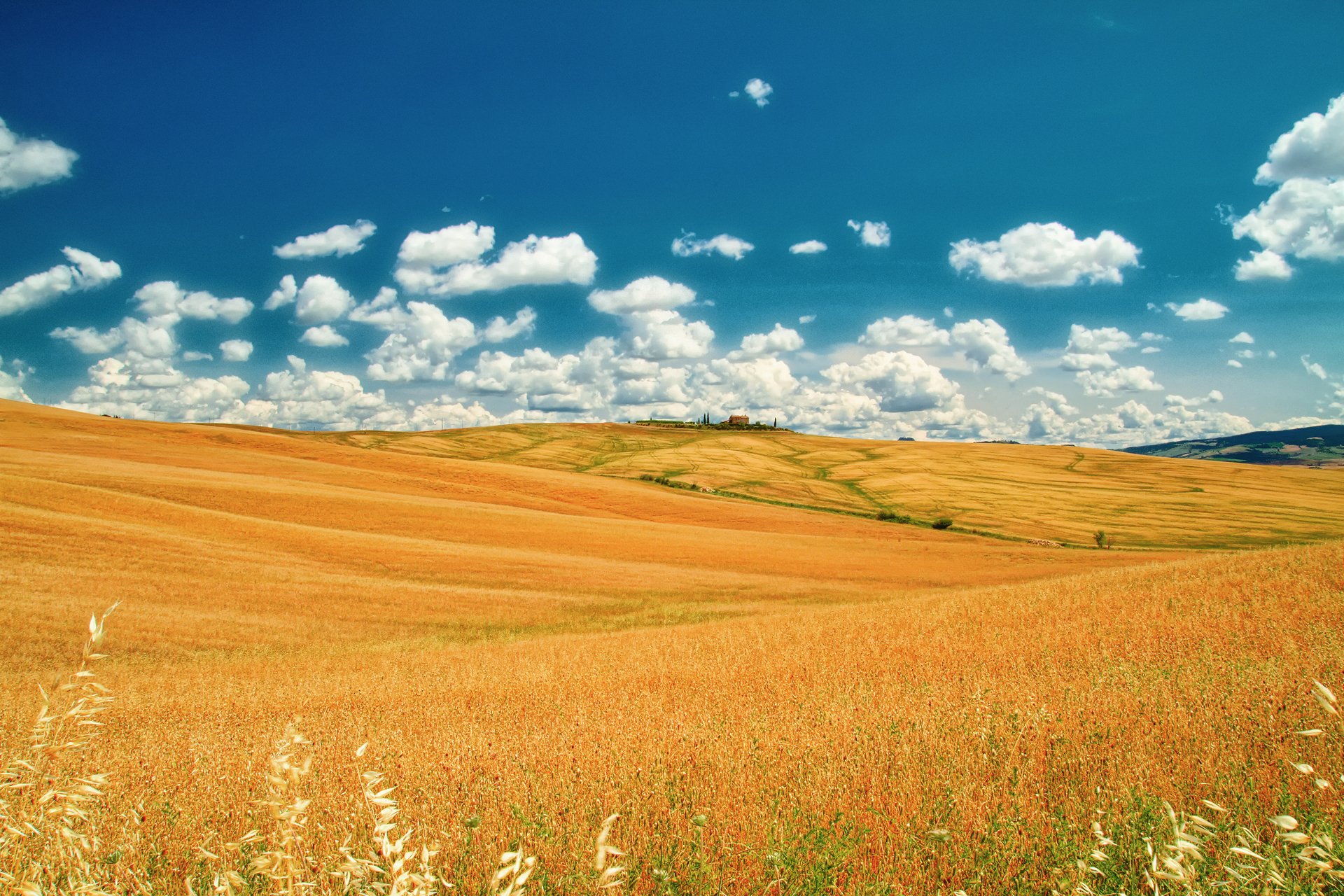 italien toskana sommer juni feld himmel wolken