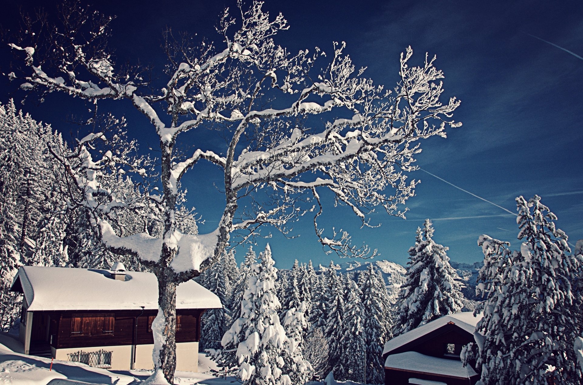 suiza invierno nieve árboles abetos casas naturaleza