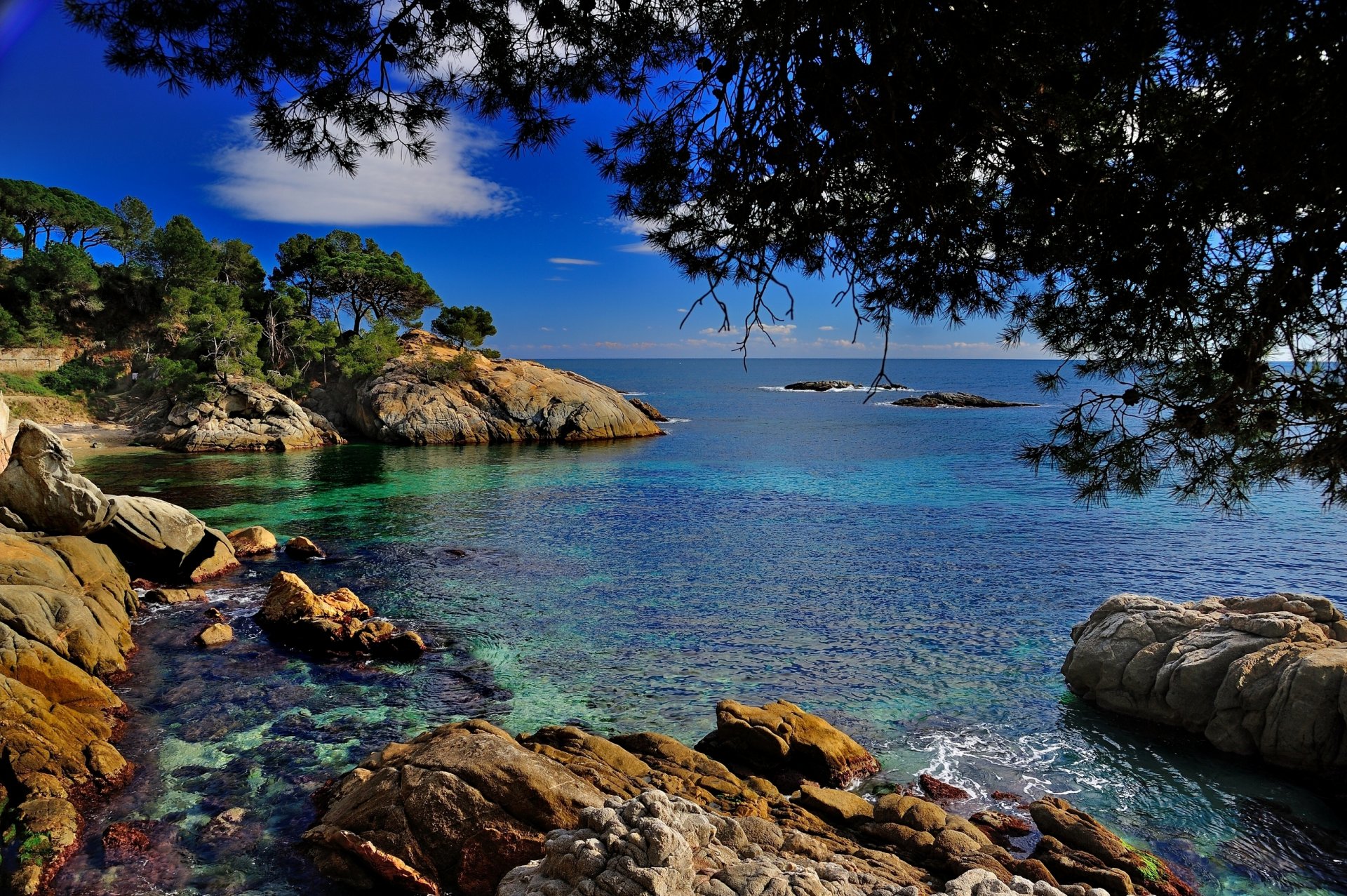 castel-platja d aro catalonia spain costa brava costa brava mediterranean sea rocks branches coast