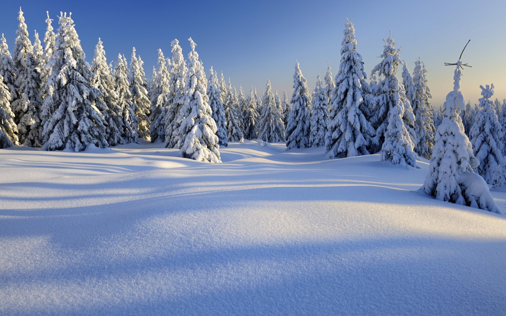 naturaleza paisaje nieve árboles invierno montañas