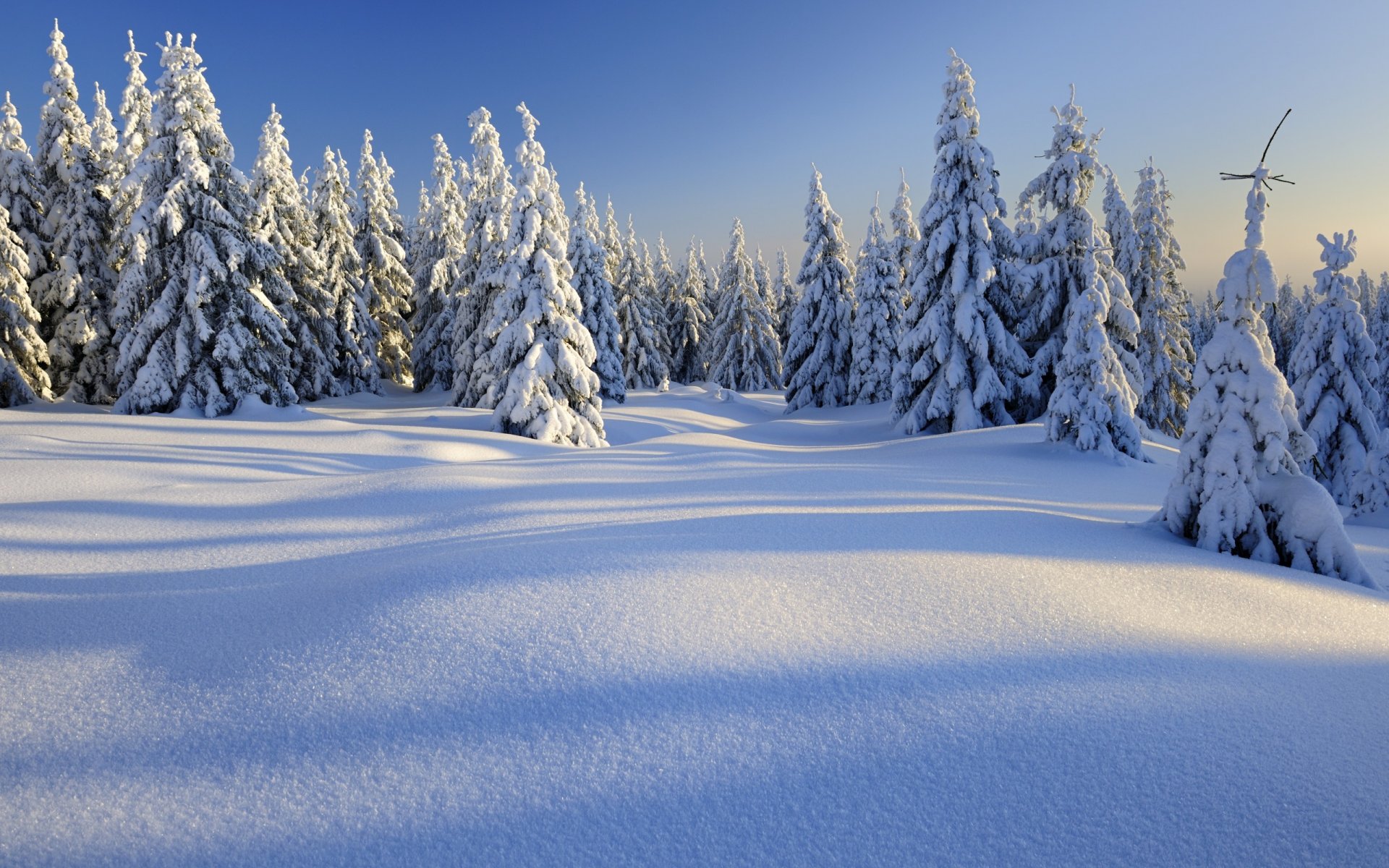 natura krajobraz śnieg drzewa zima góry