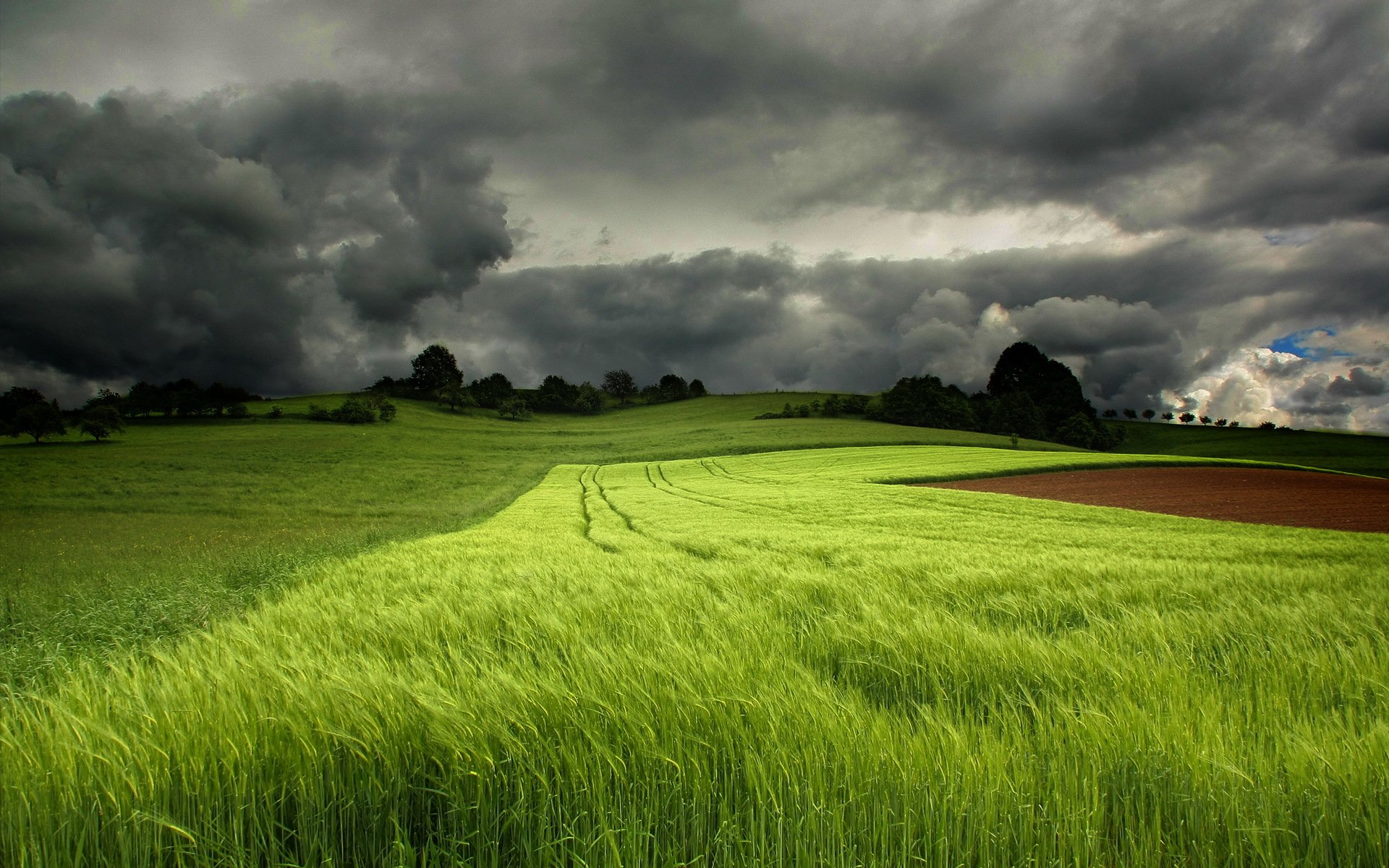 the field sky landscape summer