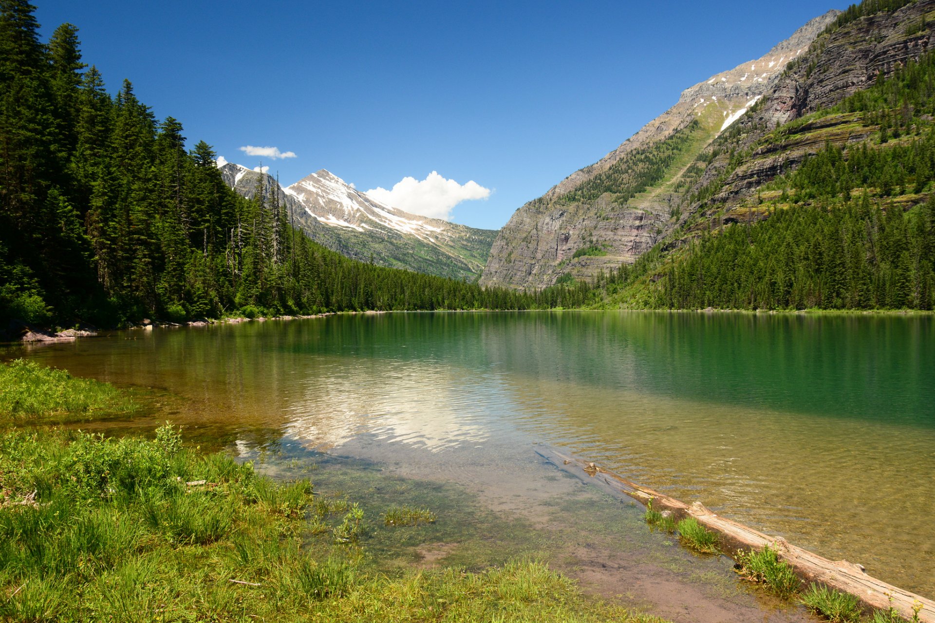 lago valanga glacier national park montana glacier lago montagna