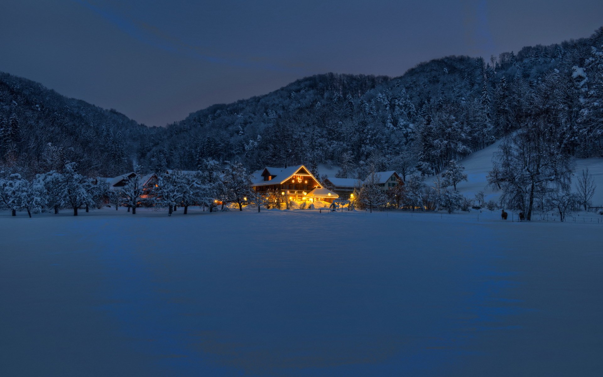 night winter house