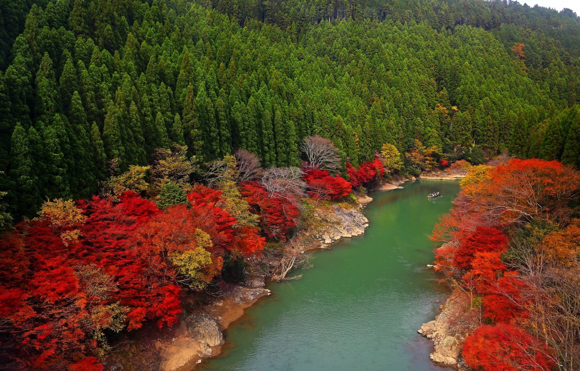 arashiyama kyoto japan oh river fluss wald bäume