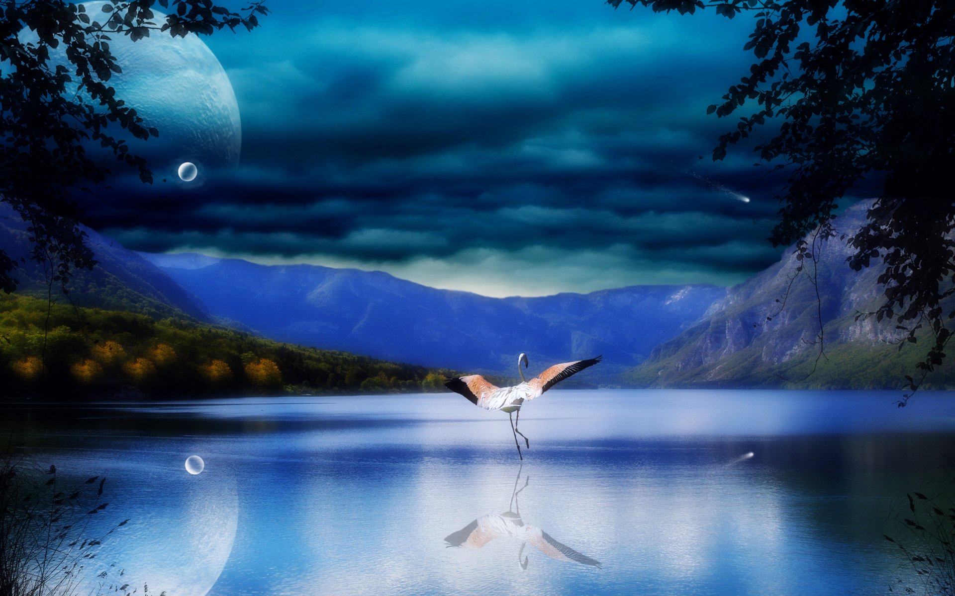 landscape nature poultry stork wings water reflection sea river mountain rock tree leaves world sky cloud