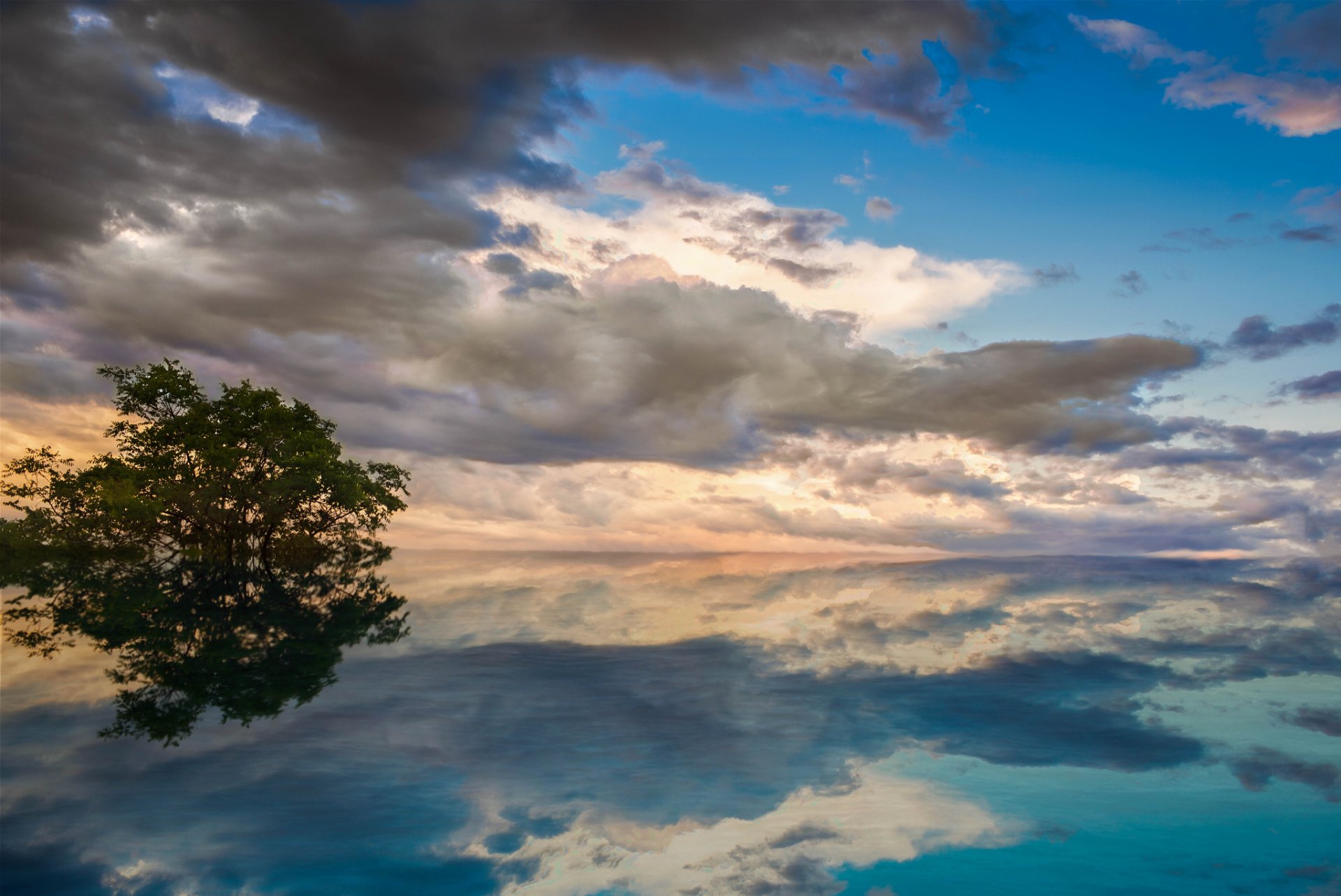 lake tree water surface of turquoise blue sky clouds reflection