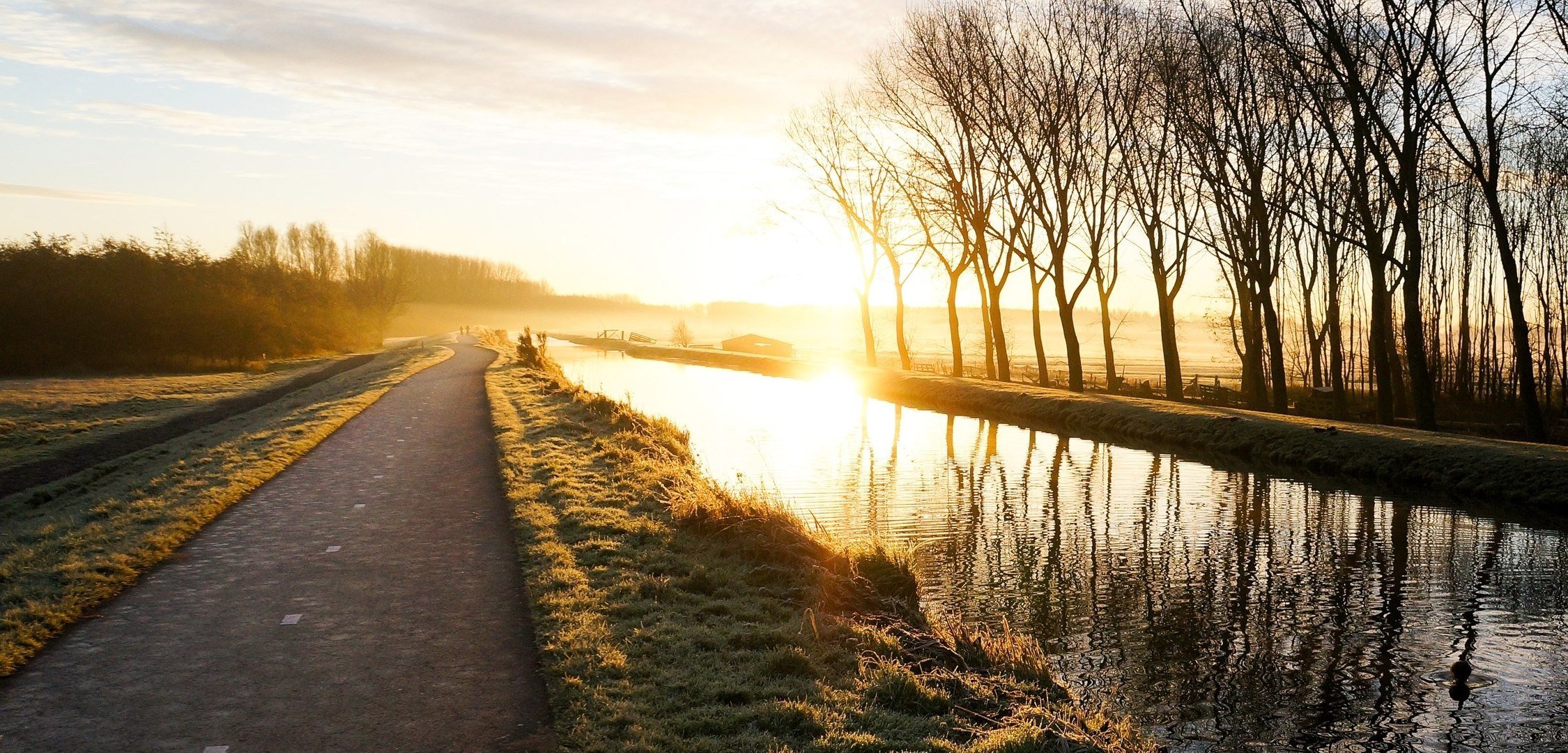 landscape nature grass greenery meadow trees branches path path road path water river river reflection reflections distance foliage green branches track track glow wallpaper widescreen by