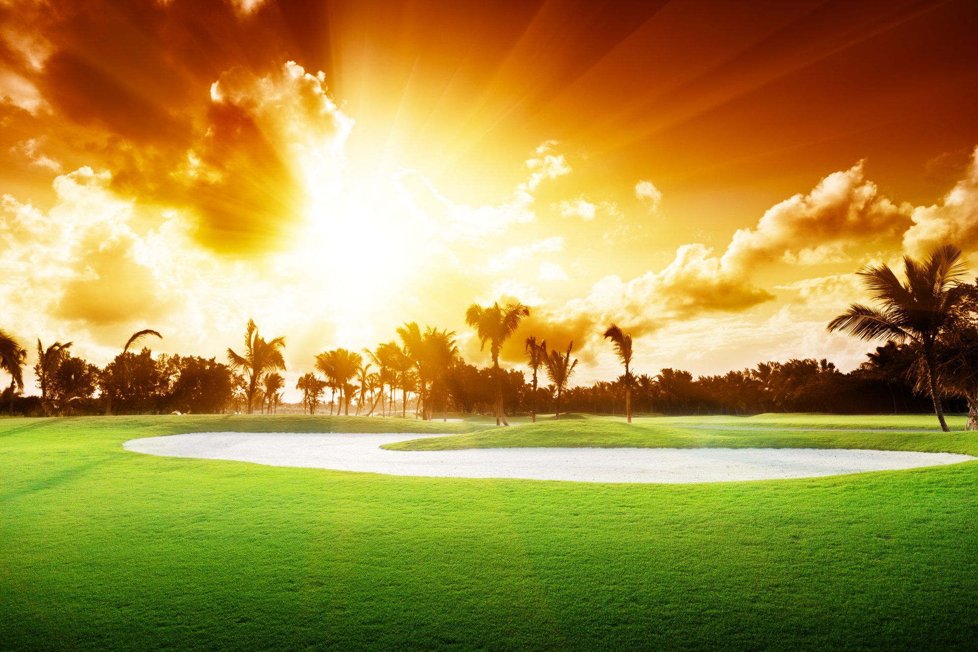 puesta de sol hermoso naturaleza paisaje campo de golf árboles hierba palmeras cielo nubes golf