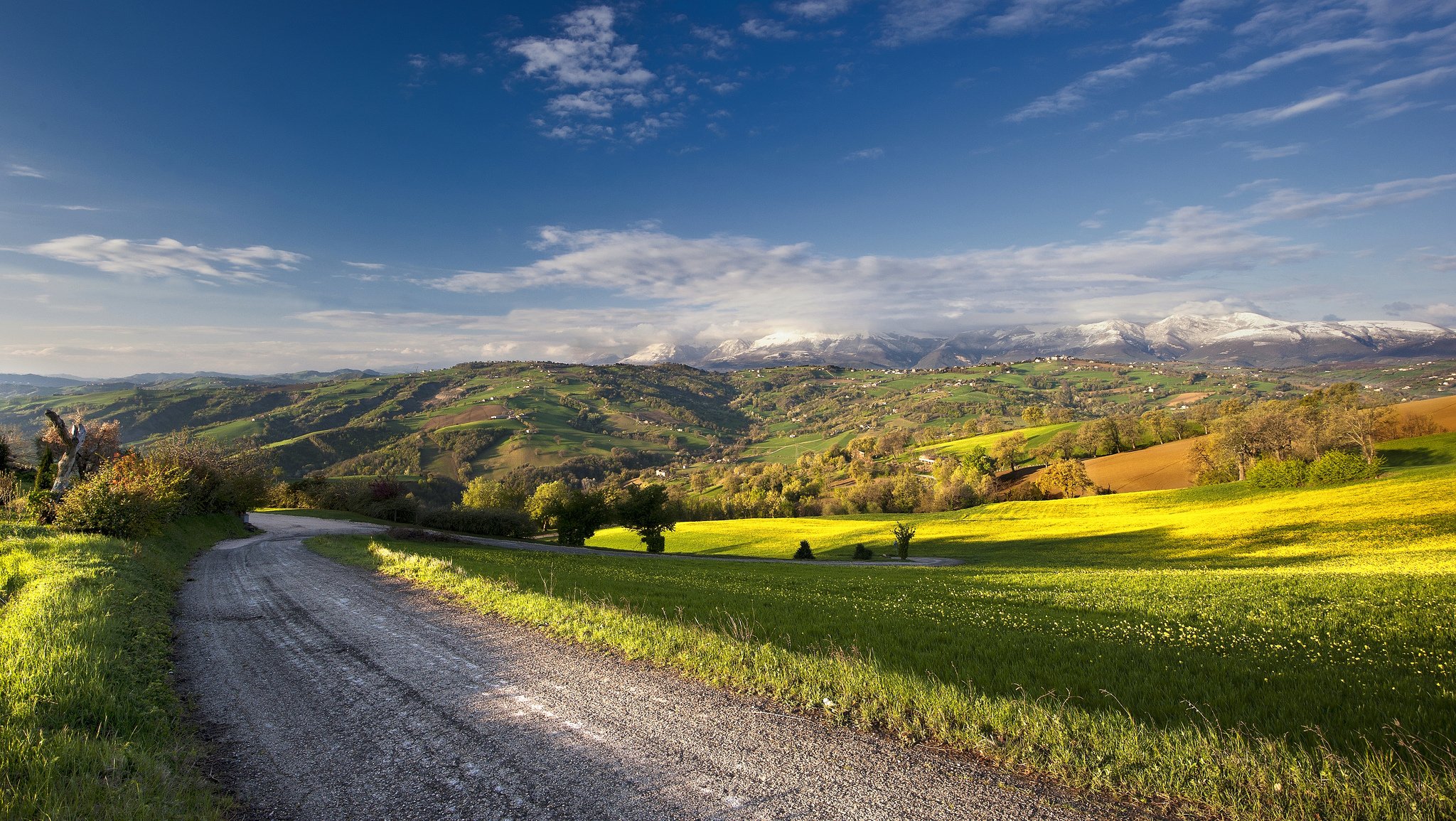 straße feld sommer landschaft