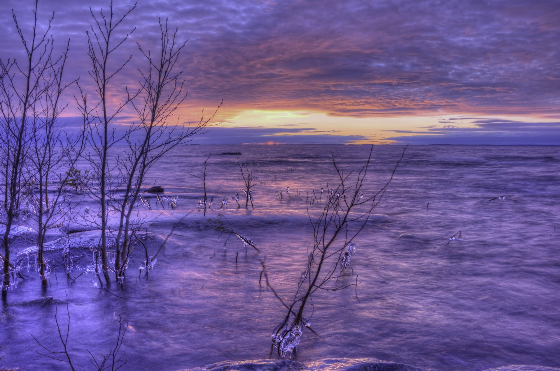 weden winter lake beach tree next night orange sunset lilac sky cloud