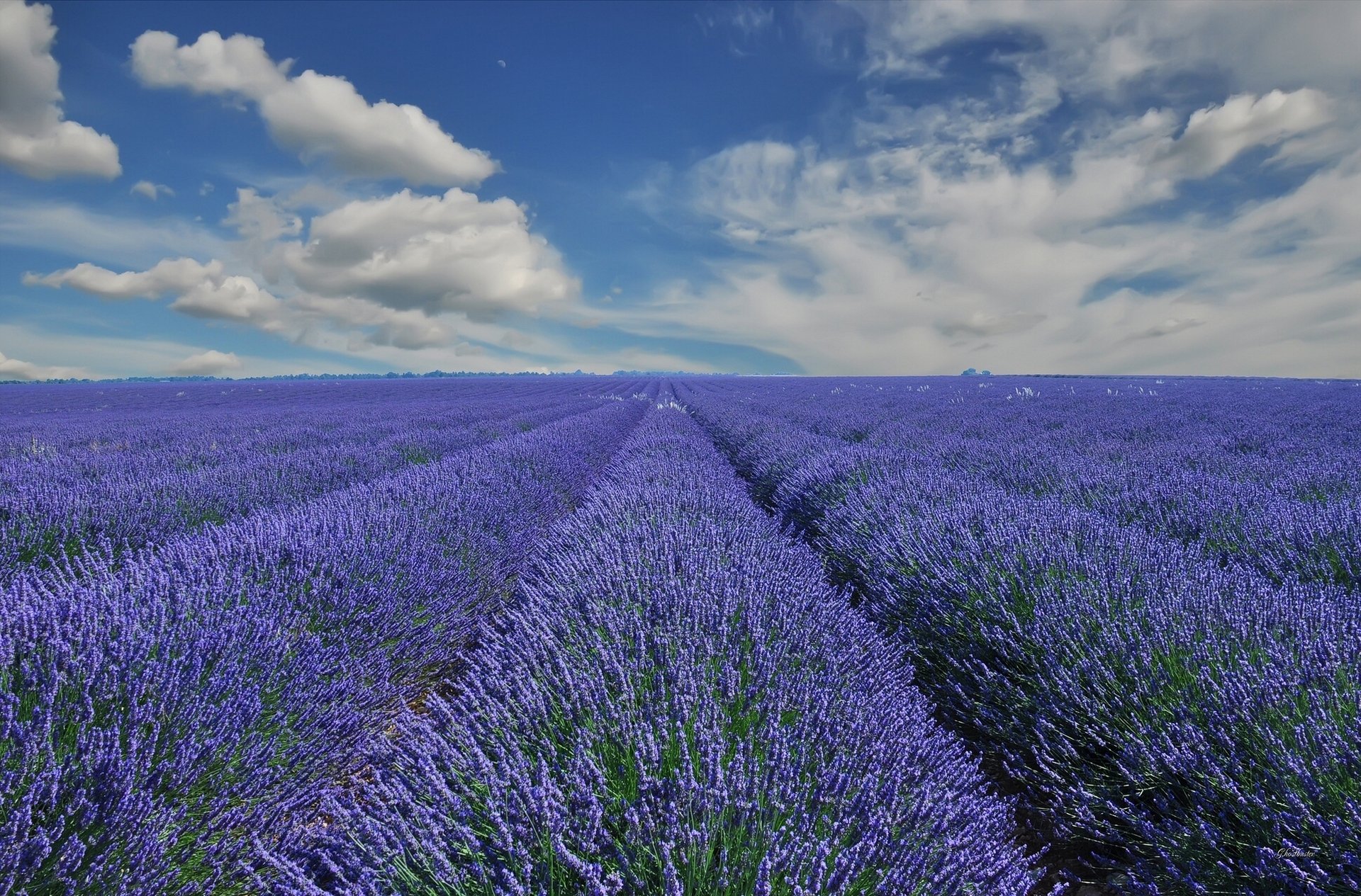 provenza francia lavanda nubes campo