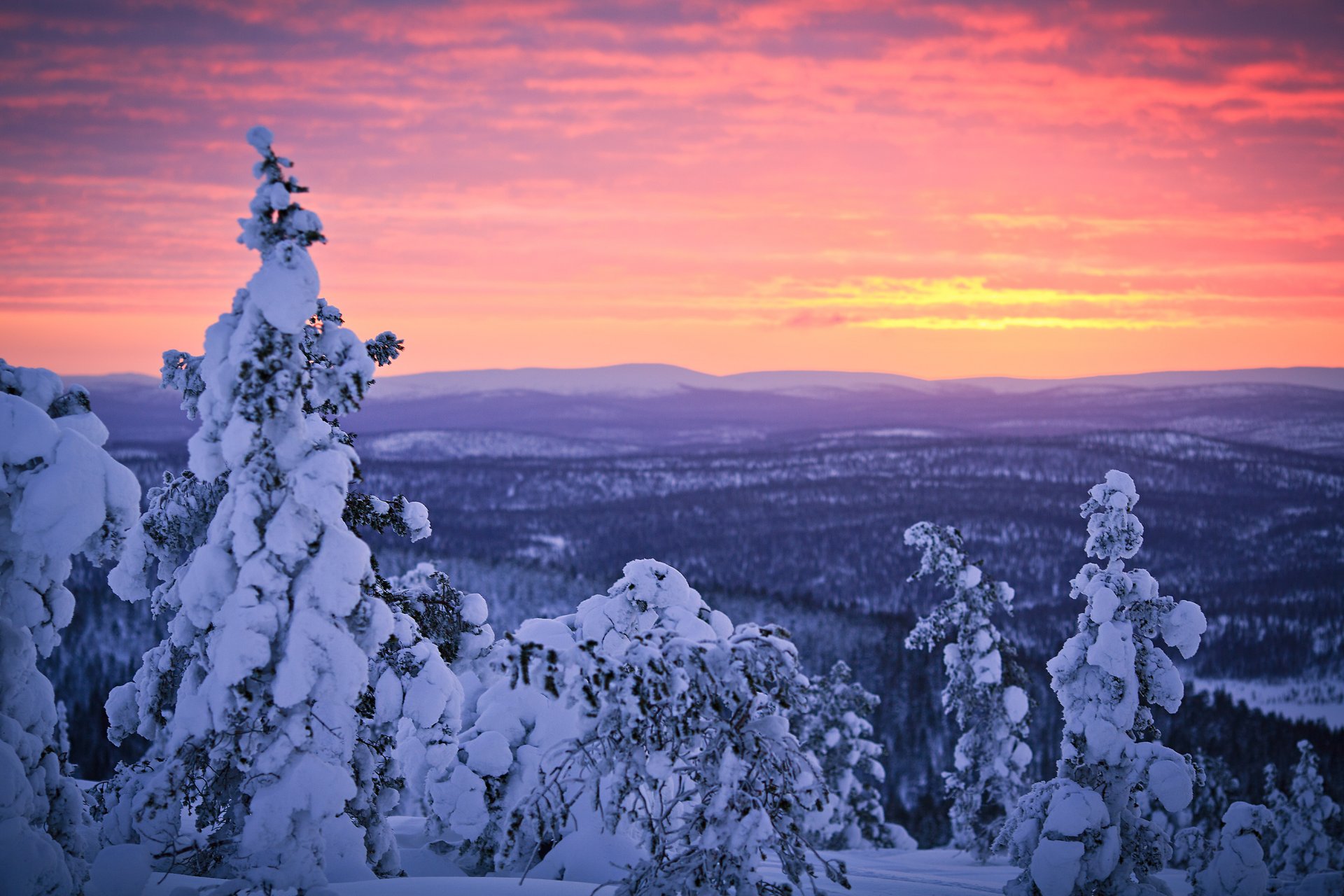 finlandia laponia invierno enero nieve bosque puesta de sol cielo sampsa wesslin photography