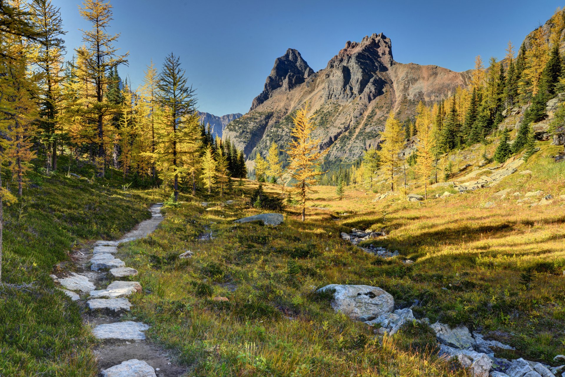 parco nazionale di yoho canada montagne alberi sentiero foresta