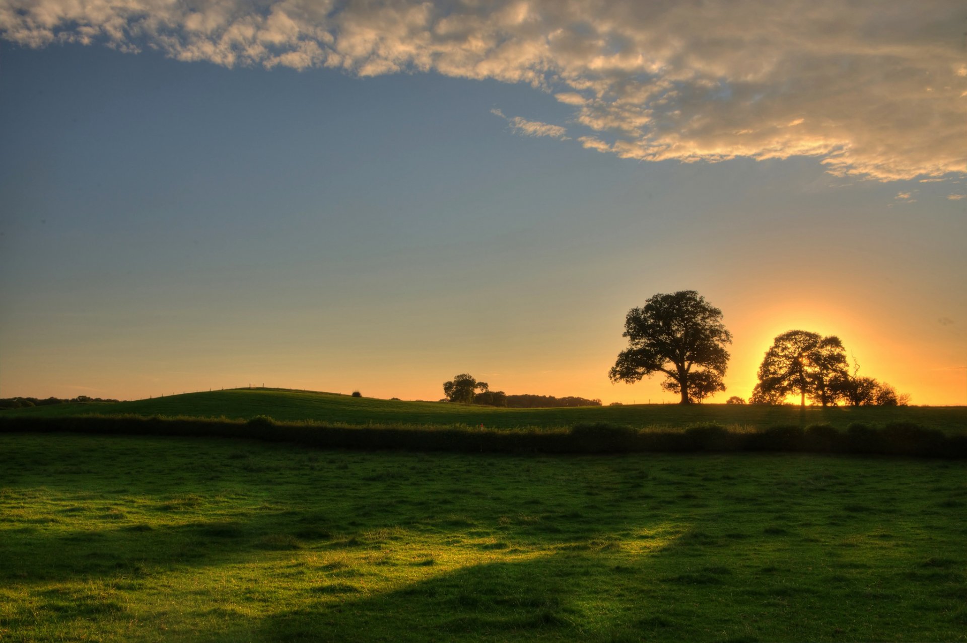 landscape nature tree trees leaves foliage leaves grass greenery meadow sunset sun sky background wallpaper widescreen fullscreen widescreen widescreen