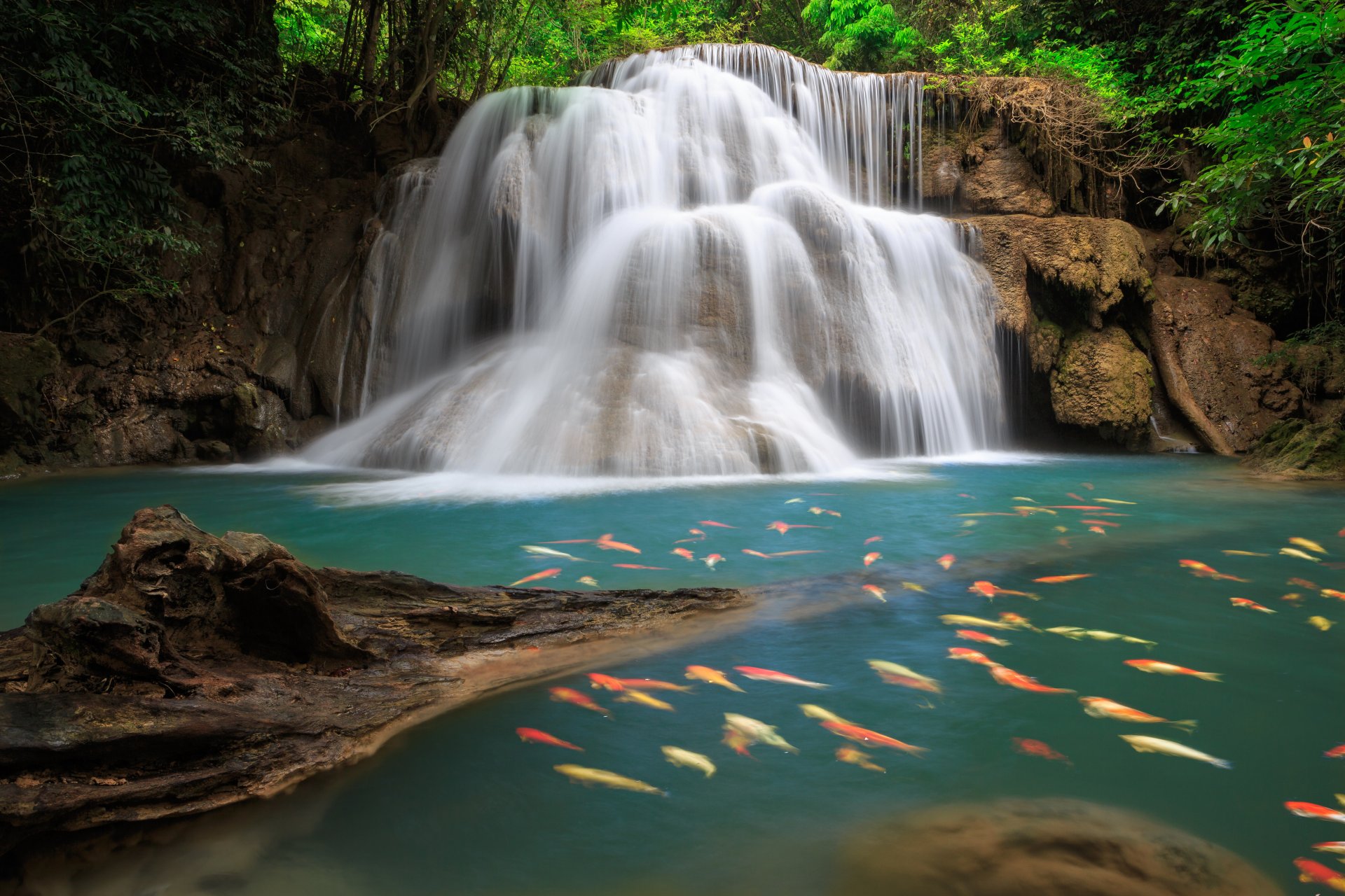 wasserfall meer see tiefer wald bäume himmel wolken landschaft natur blätter laub fisch see schlummernde wälder schön fantasie laub fische