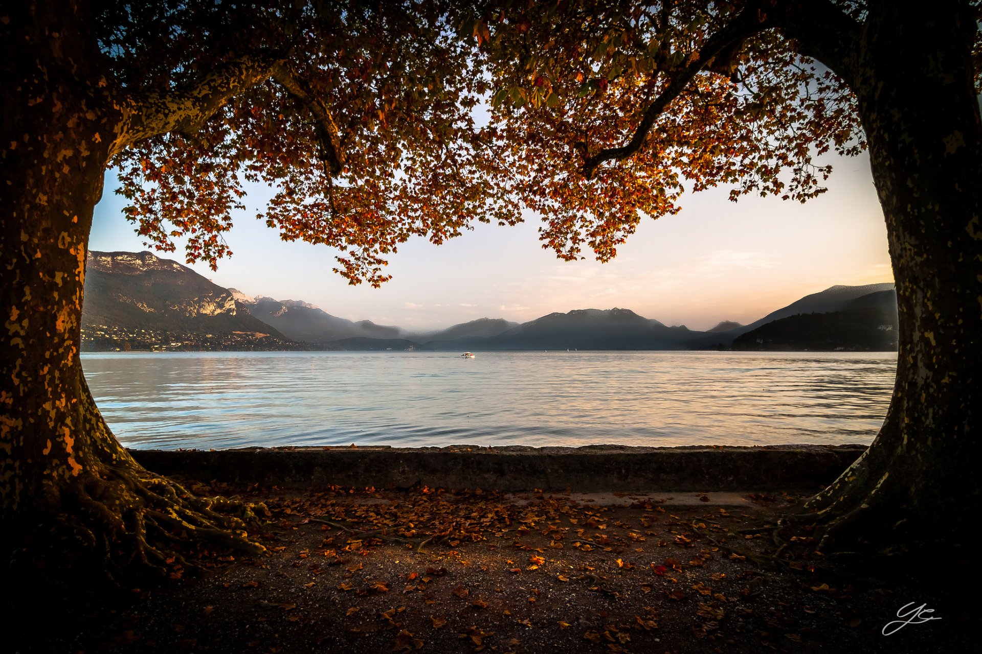 mountain lake tree autumn