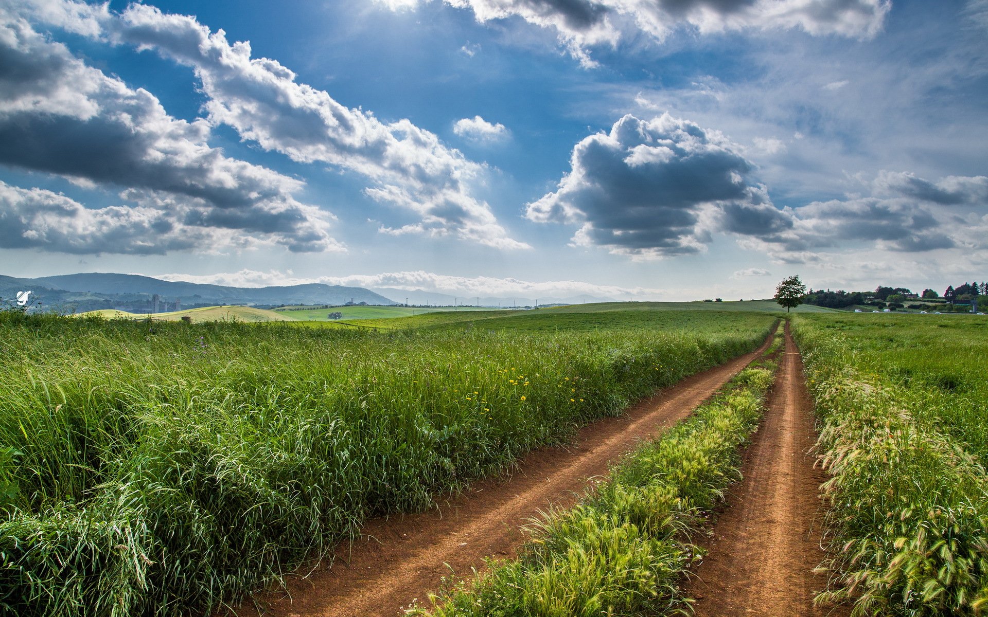 champ route paysage