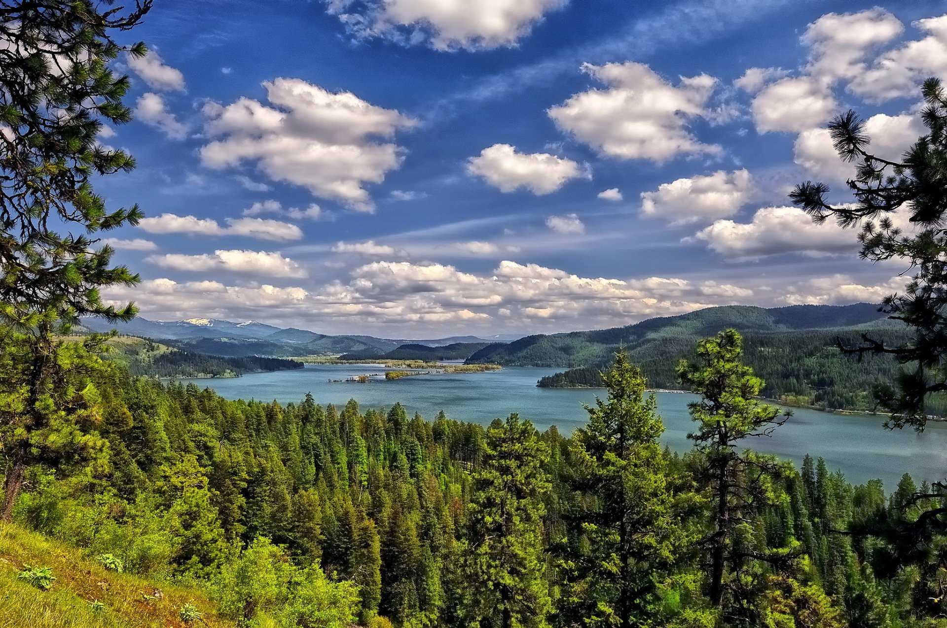 lago coeur d alene lago bosque árboles nubes