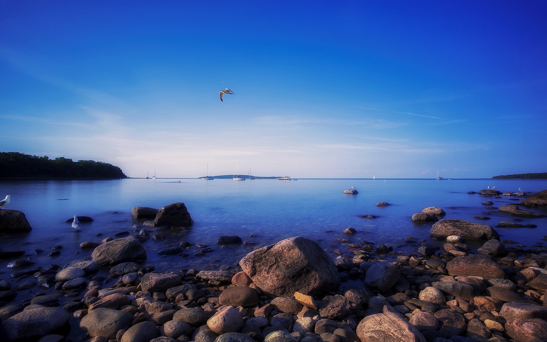 nature gulls awenda provincial park ontario canada stones sky night