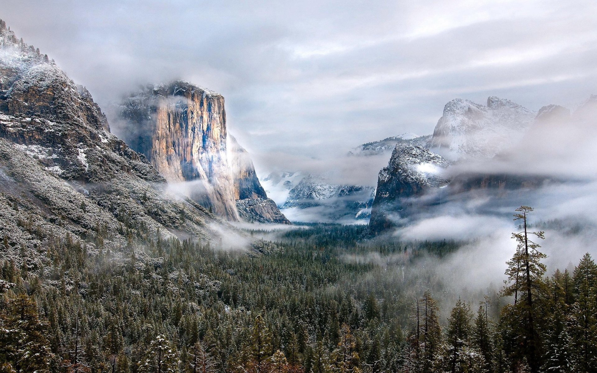 mountain forest snow fog clouds landscape beauty