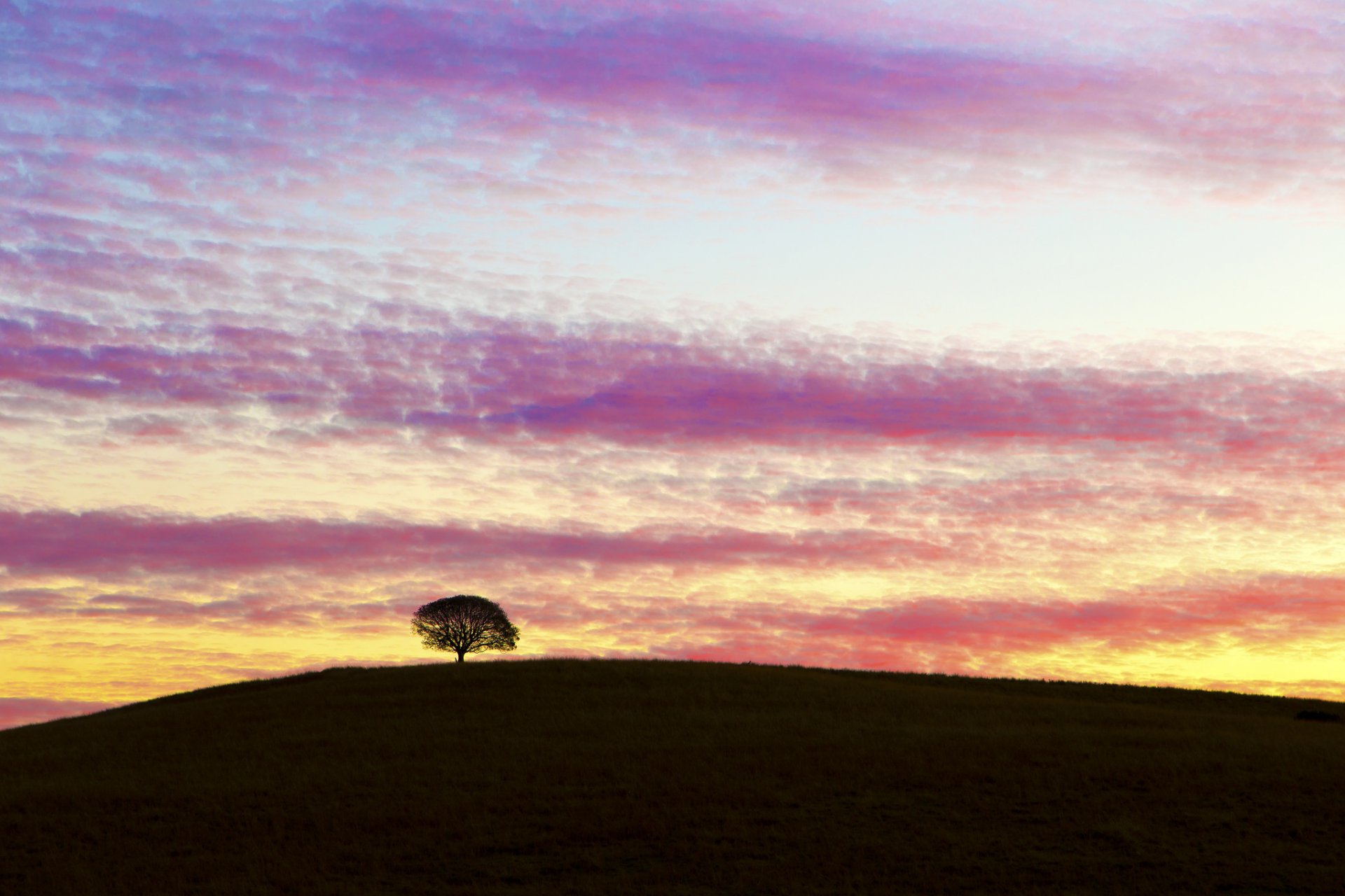 australia collina albero sera tramonto cielo nuvole