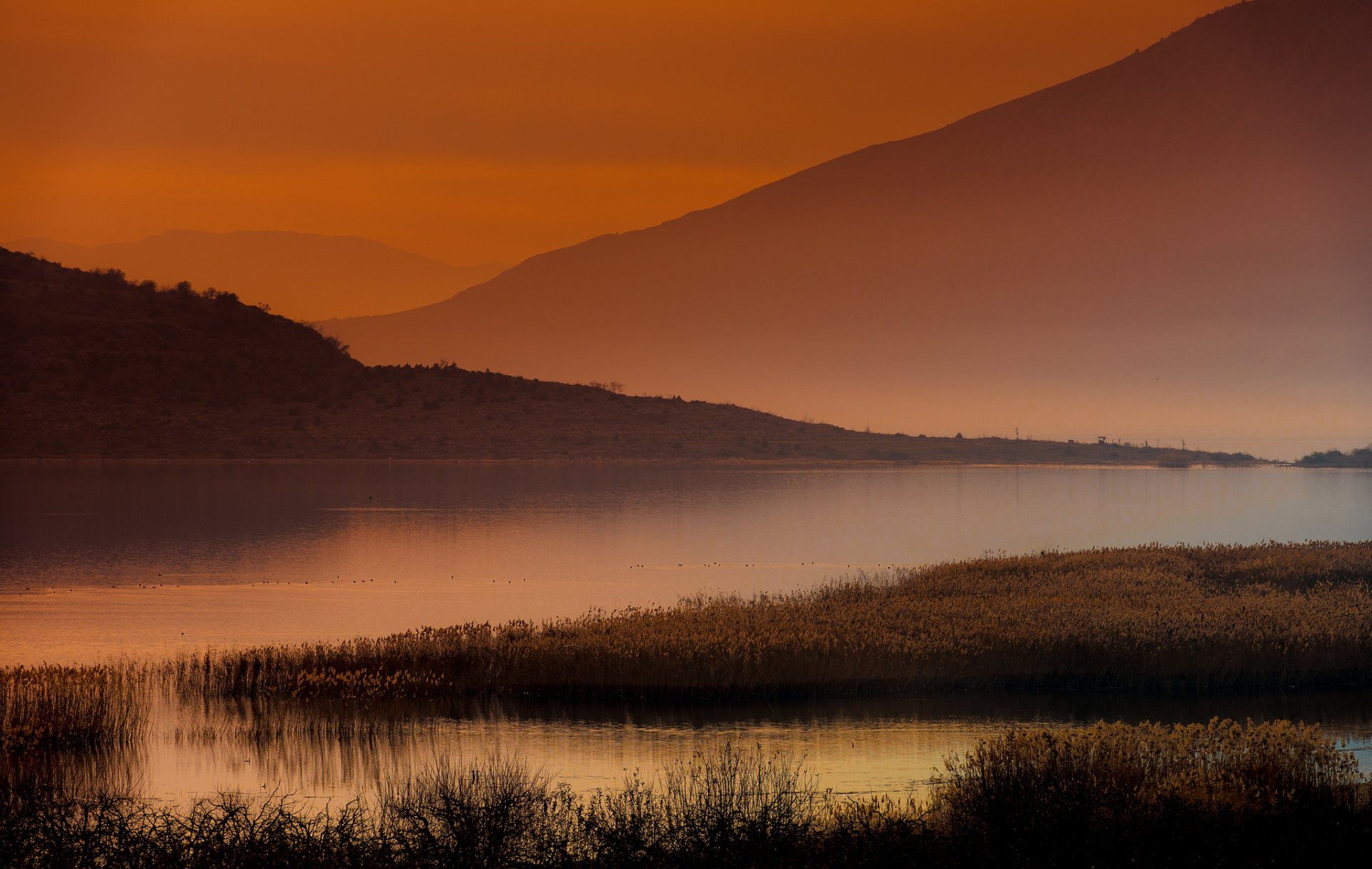 aube lac brume roseaux montagnes