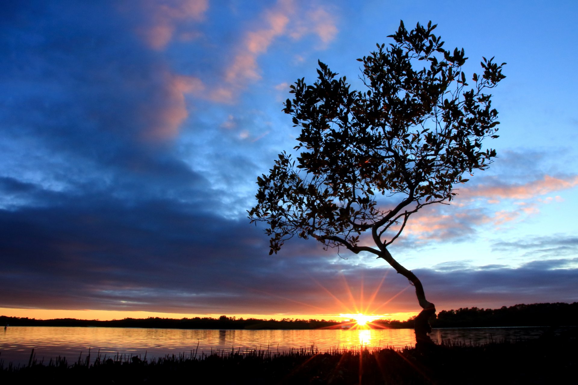 morning river beach tree sky clouds sun sunrise ray