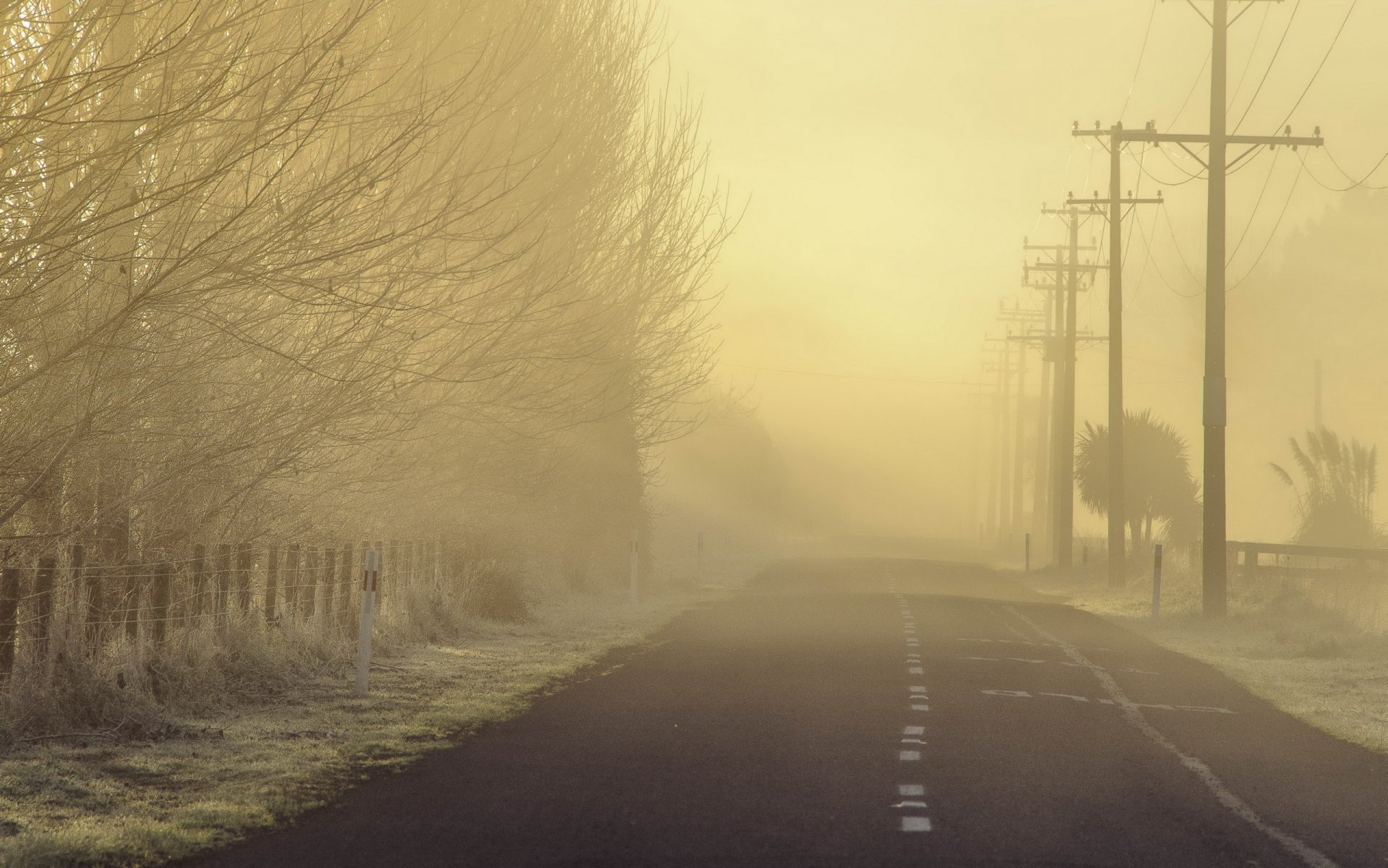 mañana carretera niebla paisaje