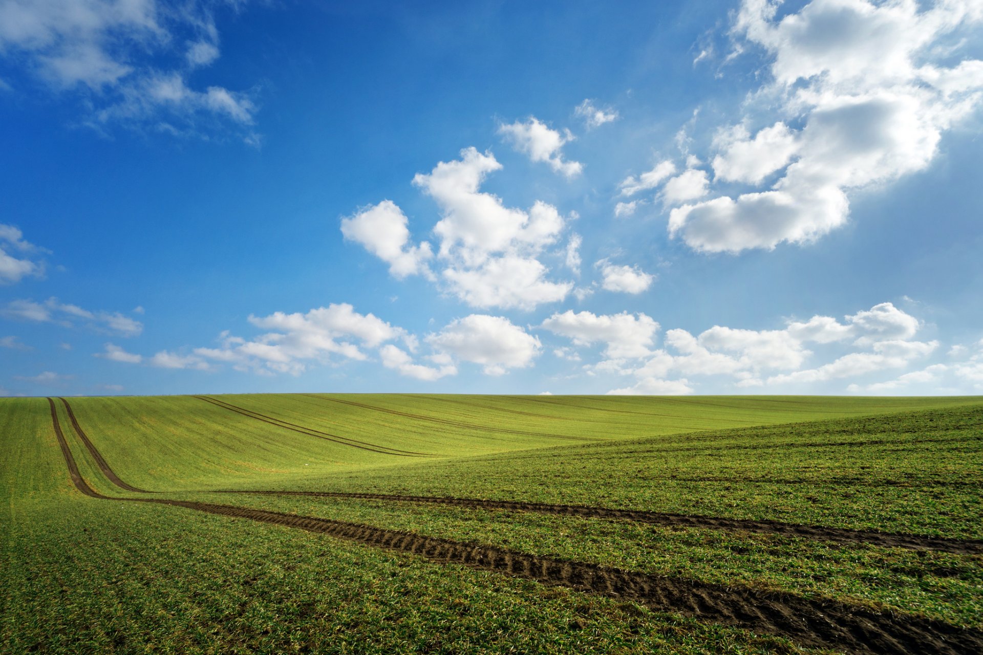 campo verde neyo nuvole impronte primavera