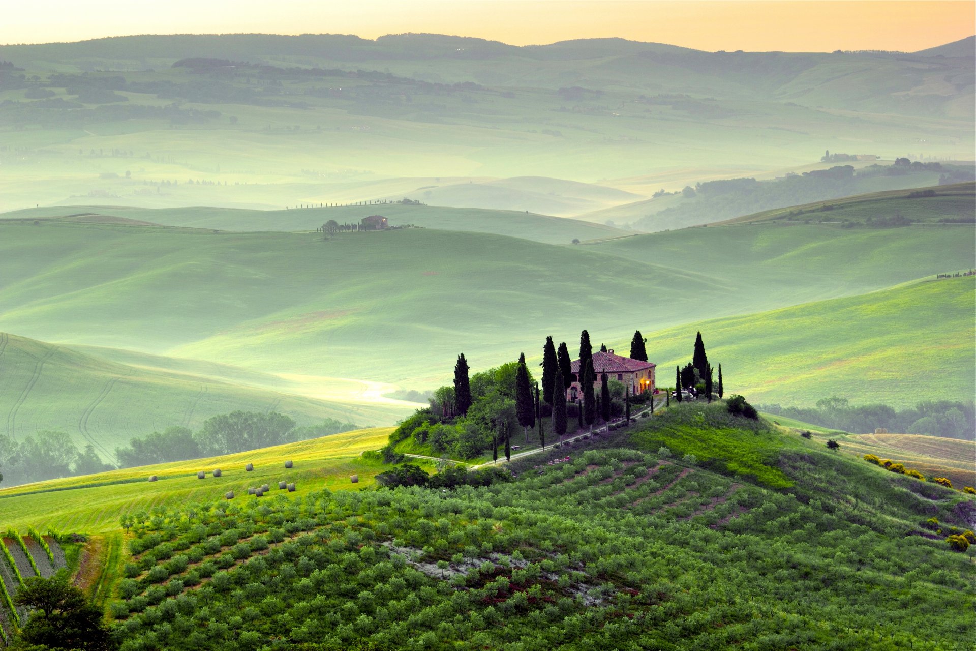 pienza toscane italie paysage nature arbres verdure champs collines matin aube brouillard