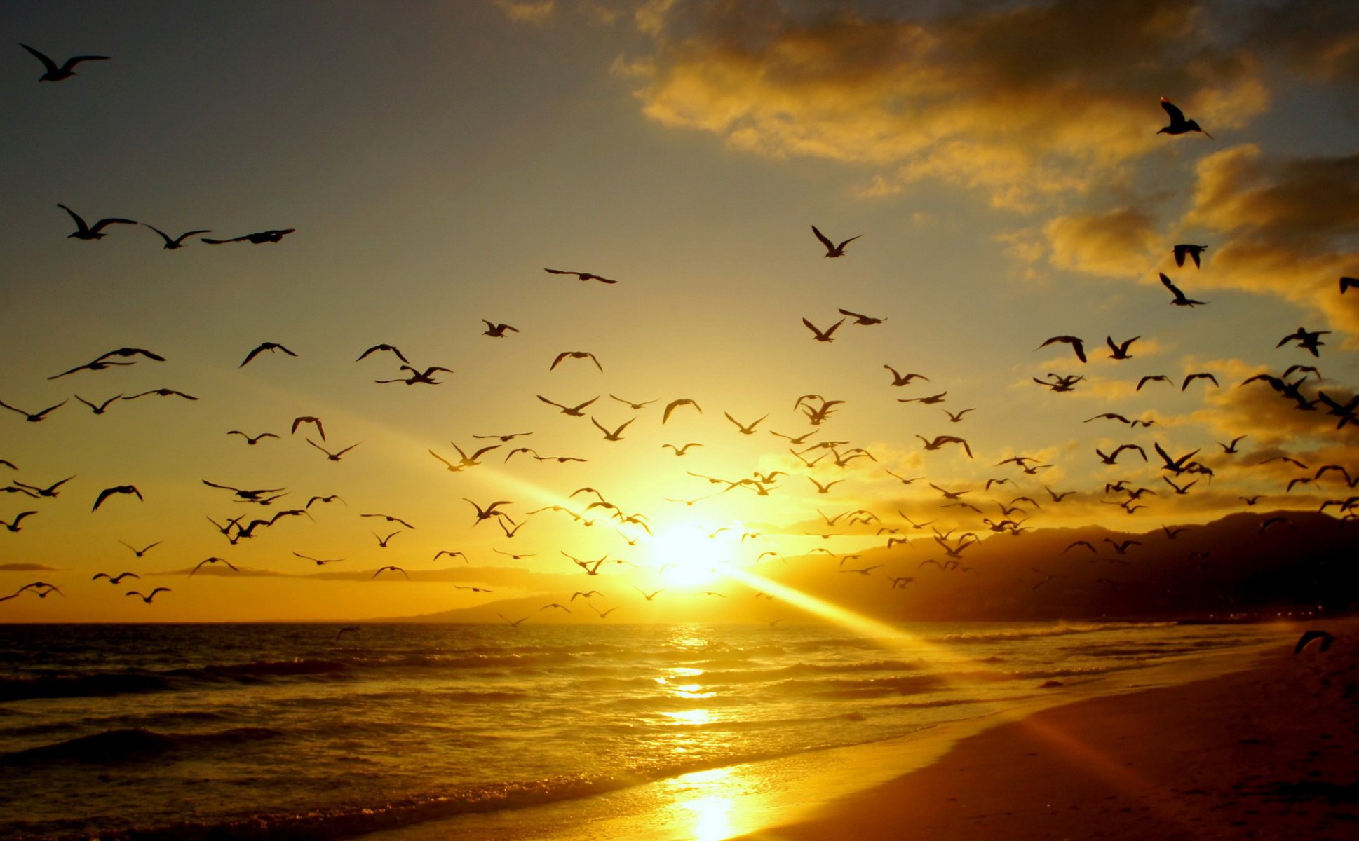 côte côte sable surf troupeau oiseaux ciel nuages loin montagnes horizon aube coucher de soleil rayons lumière soleil nature