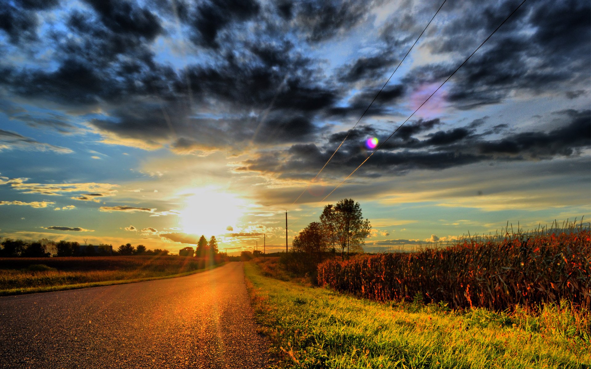 straße wolken wolken sonne sonnenuntergang gras stromleitung