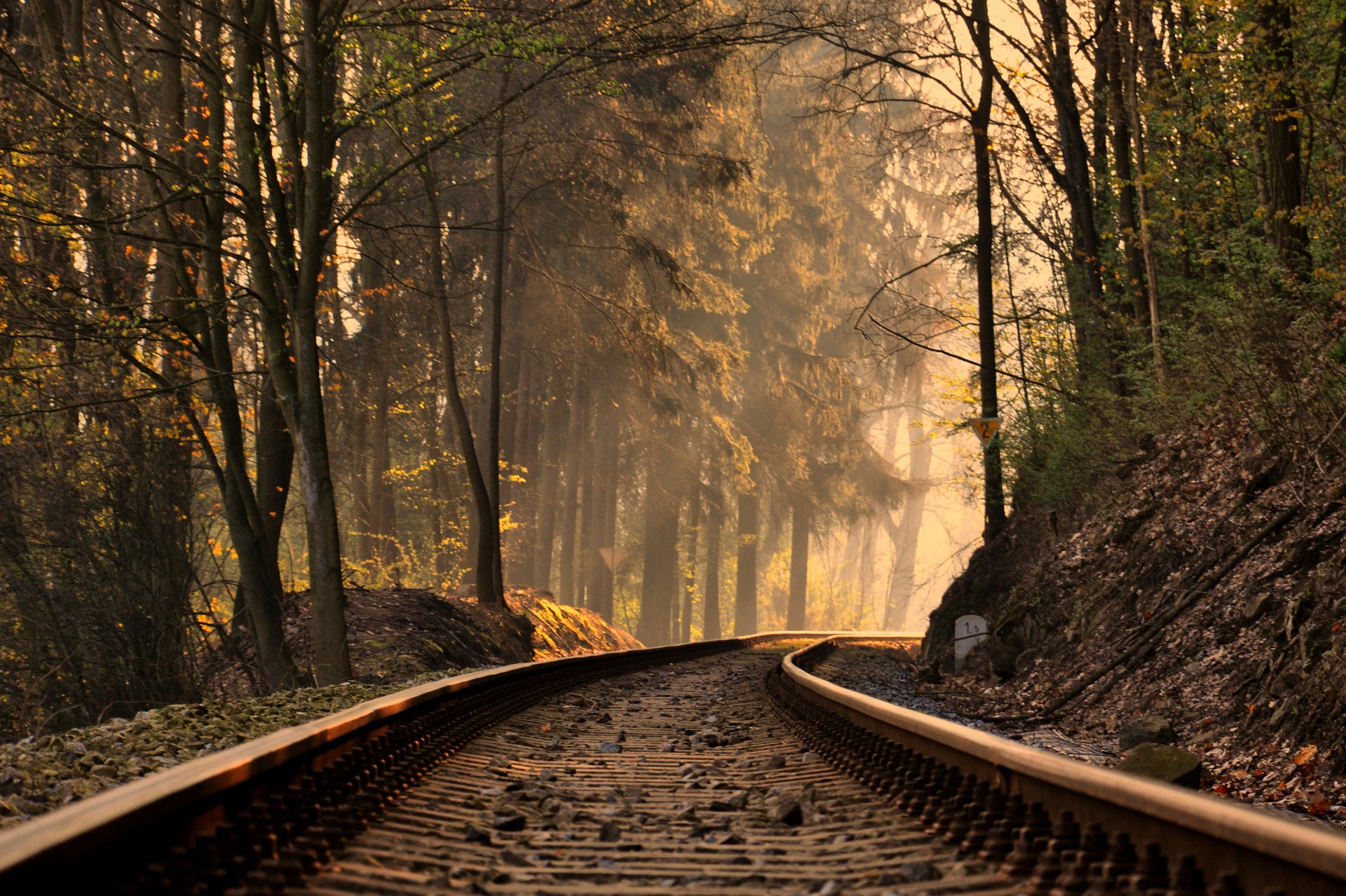 rails trees landscape nature slope tree