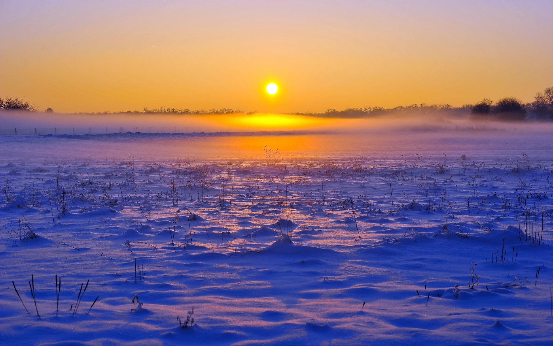 campo inverno neve nebbia orizzonte foresta cielo alba tramonto