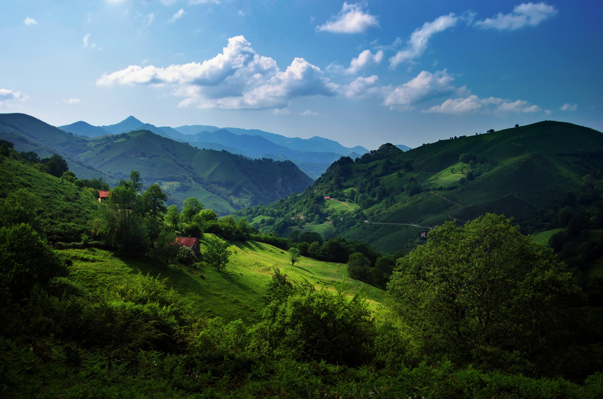 pain asturias cantabrian mountains hills green grass tree summer sky cloud