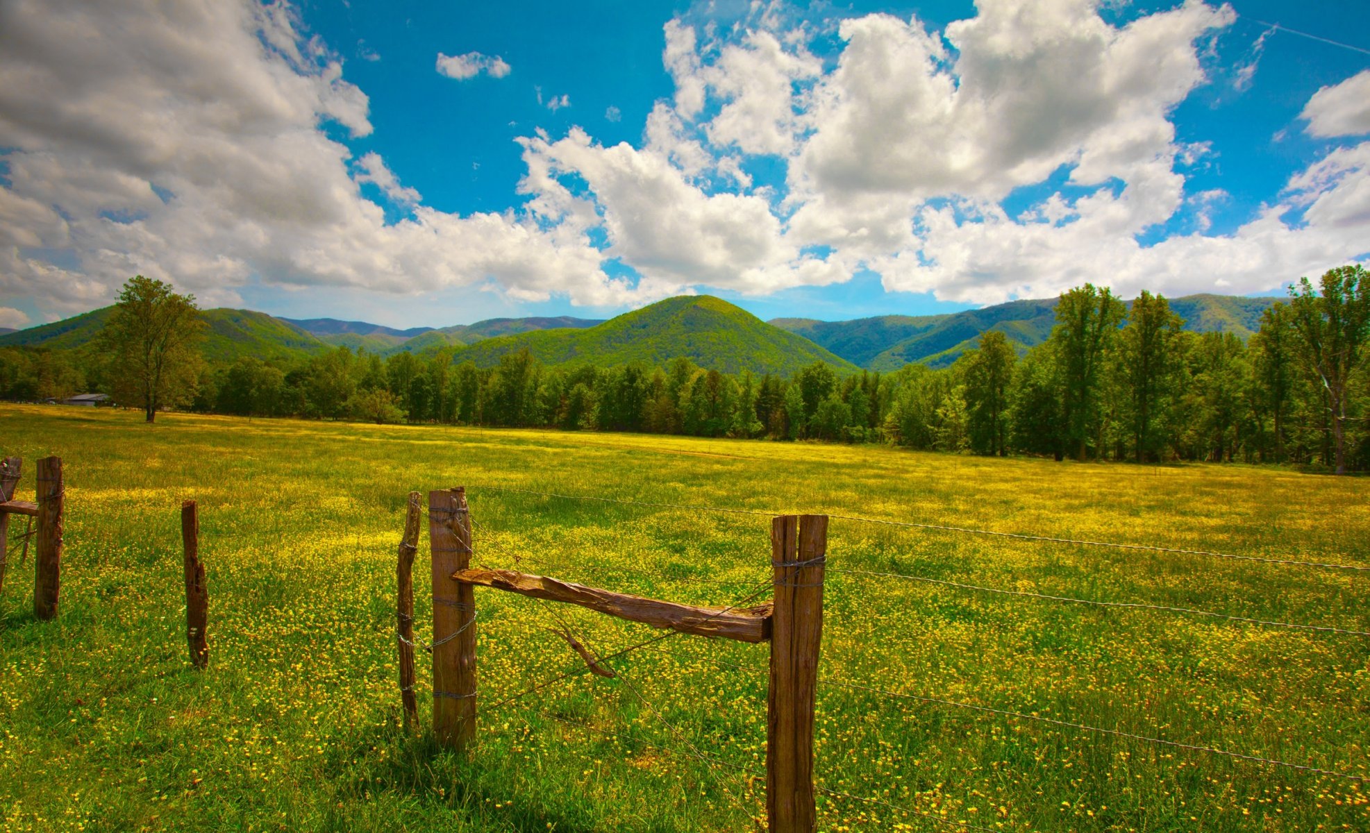 sommer grün gras zaun pfosten hügel wolken blumen gelb