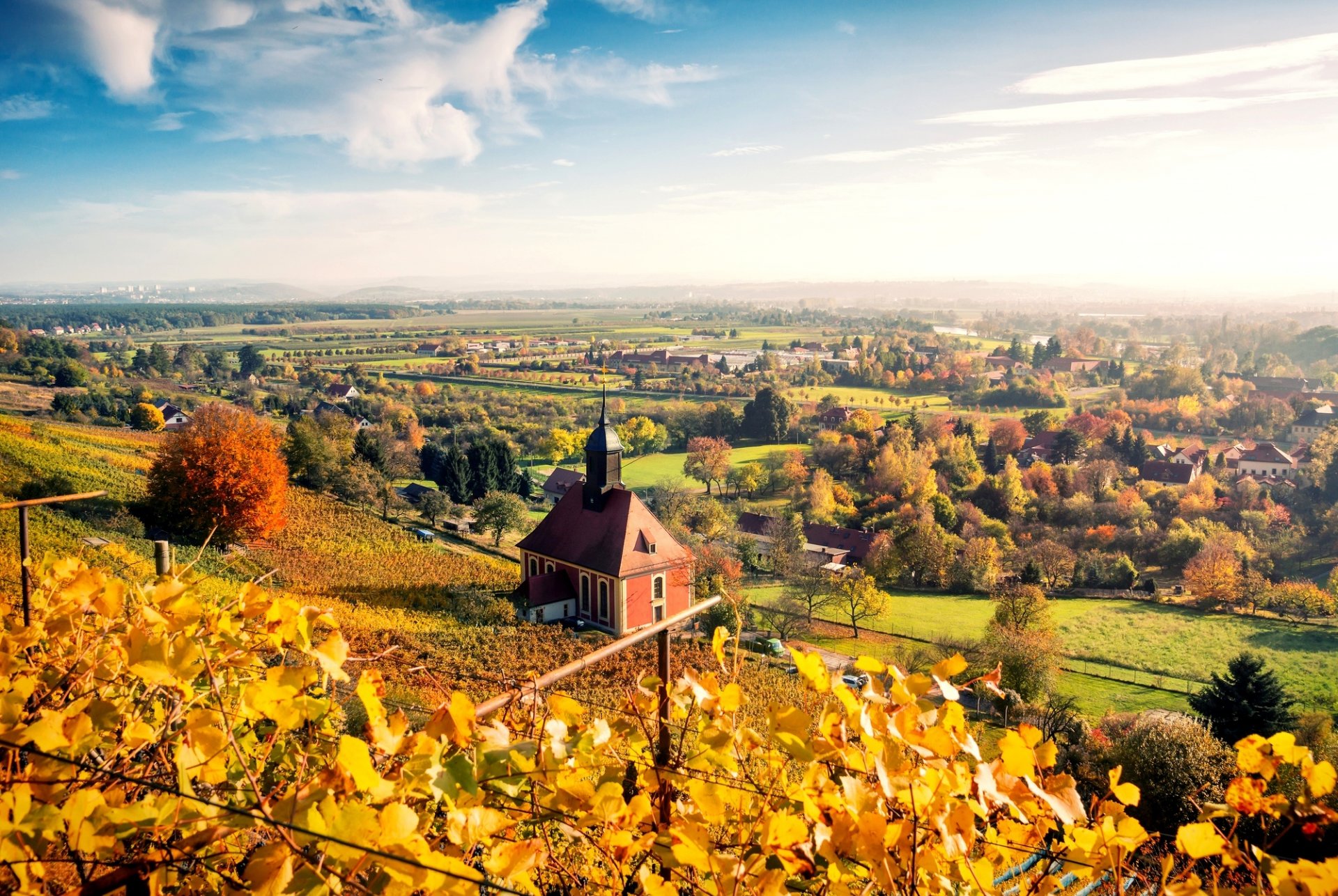 dresda germania città autunno natura paesaggio cielo nuvole case alberi foglie giallo panorama