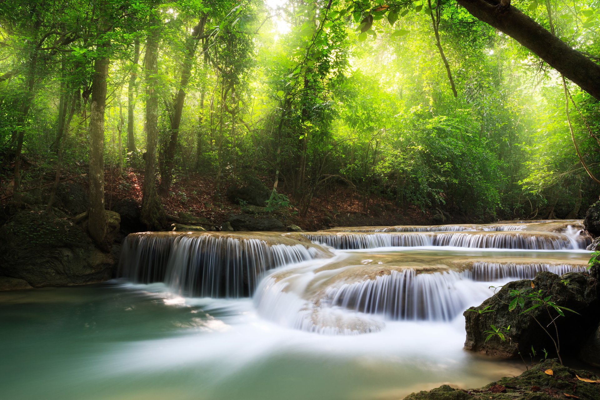 cascada mar lago bosque profundo árboles cielo nubes paisaje naturaleza hojas lagos bosques densos hermoso