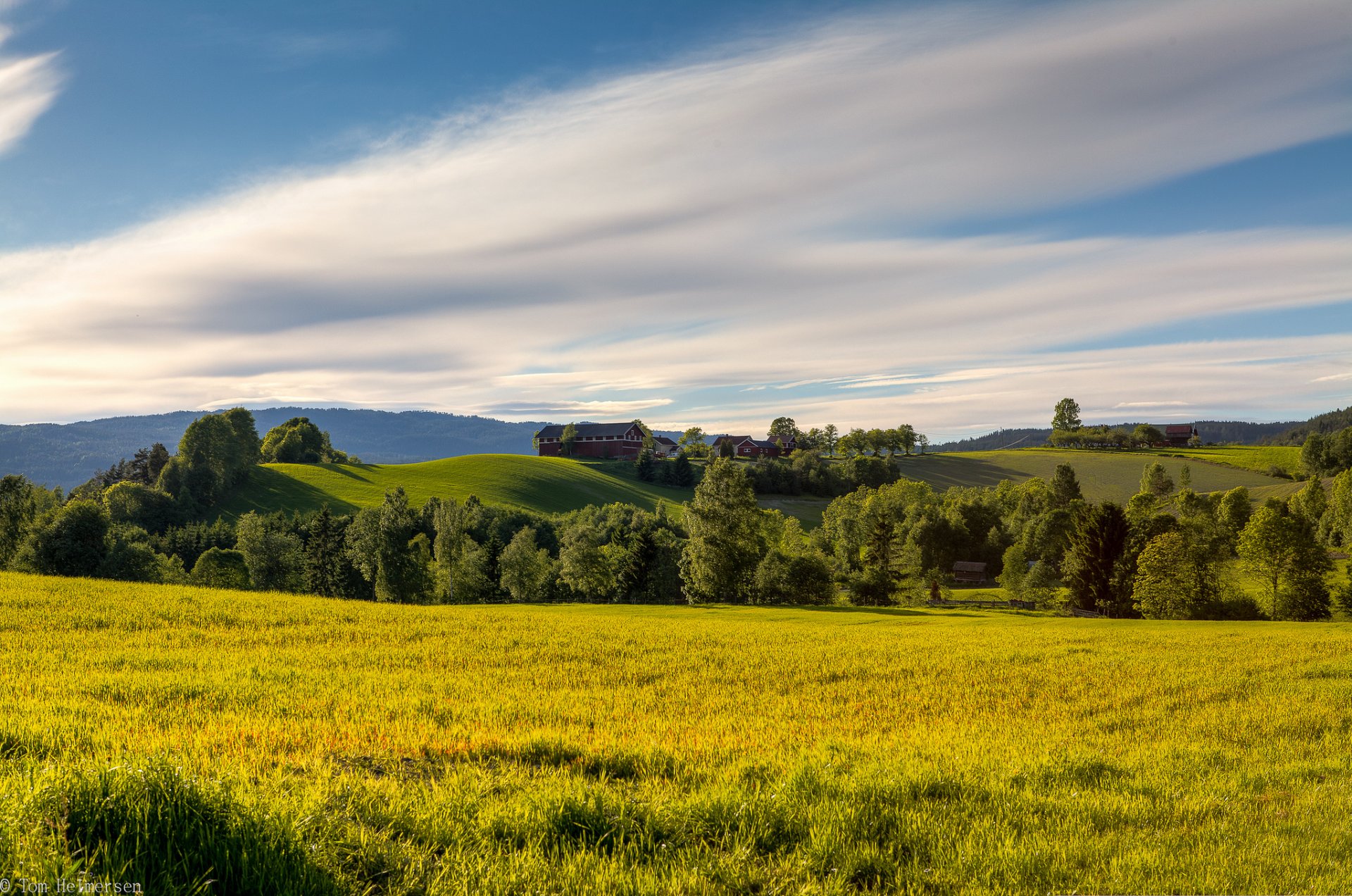 norvège été champ clairière espaces ouverts arbres herbe collines ciel nuages nature