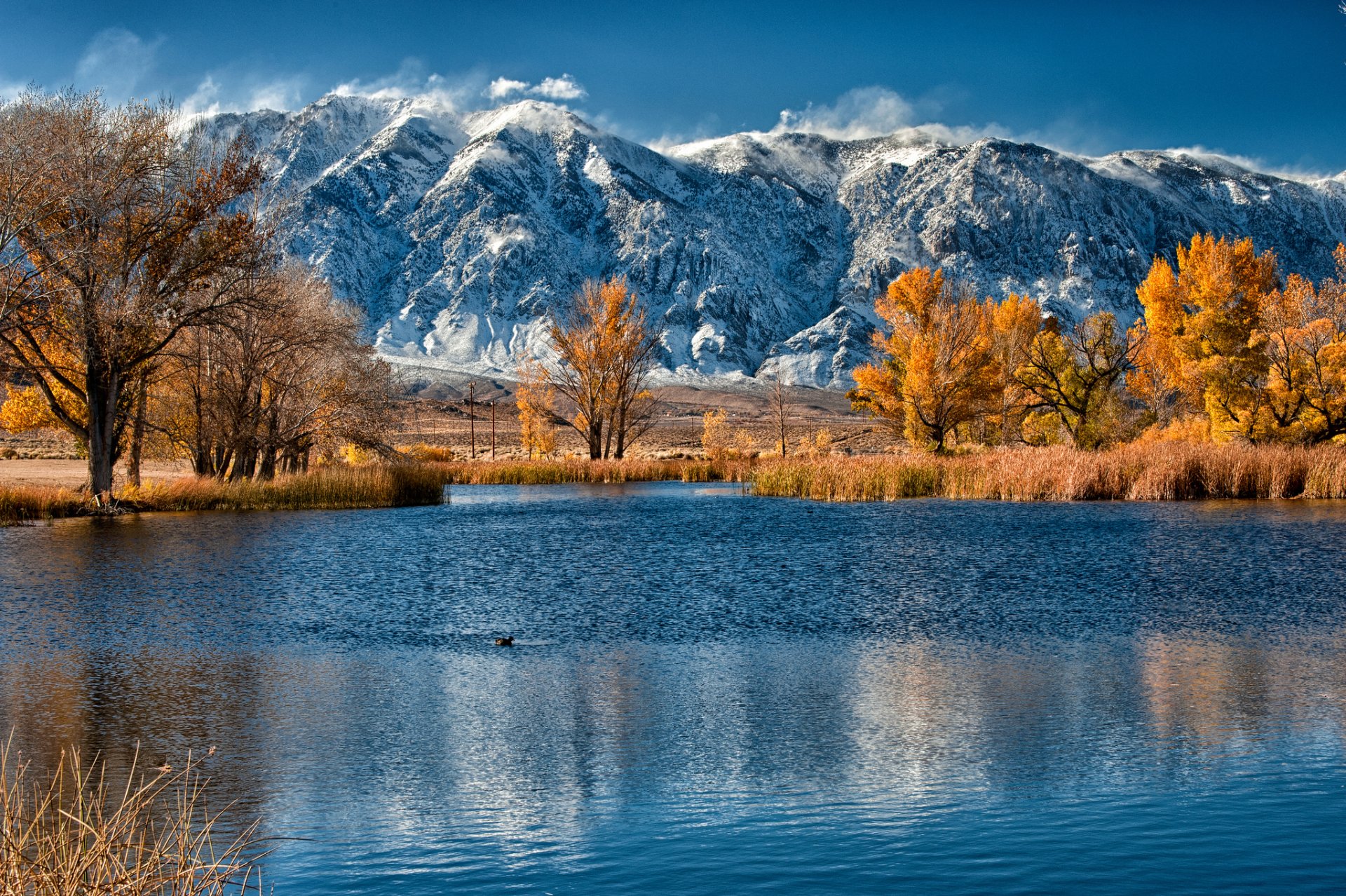 montañas lago otoño árboles juncos